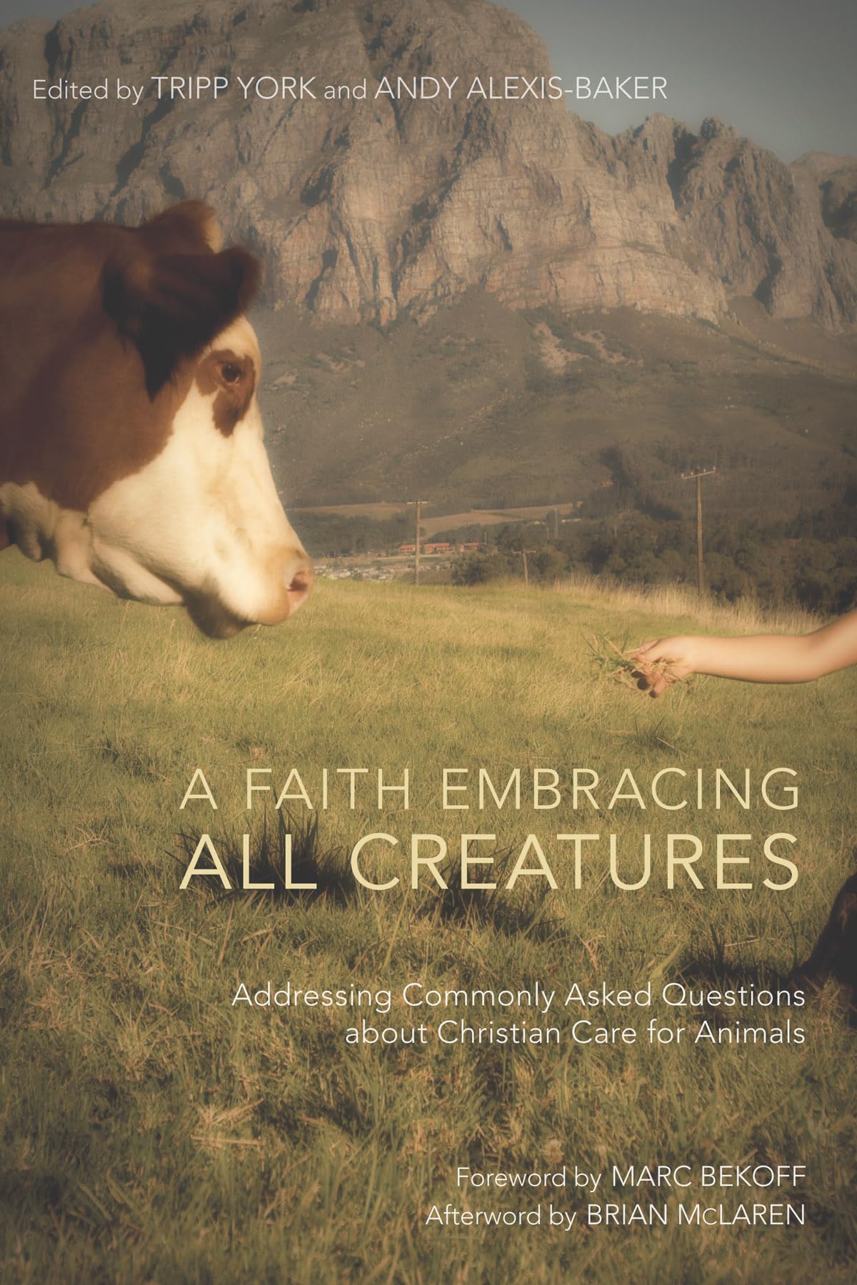 A Faith Embracing All Creatures: Addressing Commonly Asked Questions About Christian Care For Animals (Peaceable Kingdom)