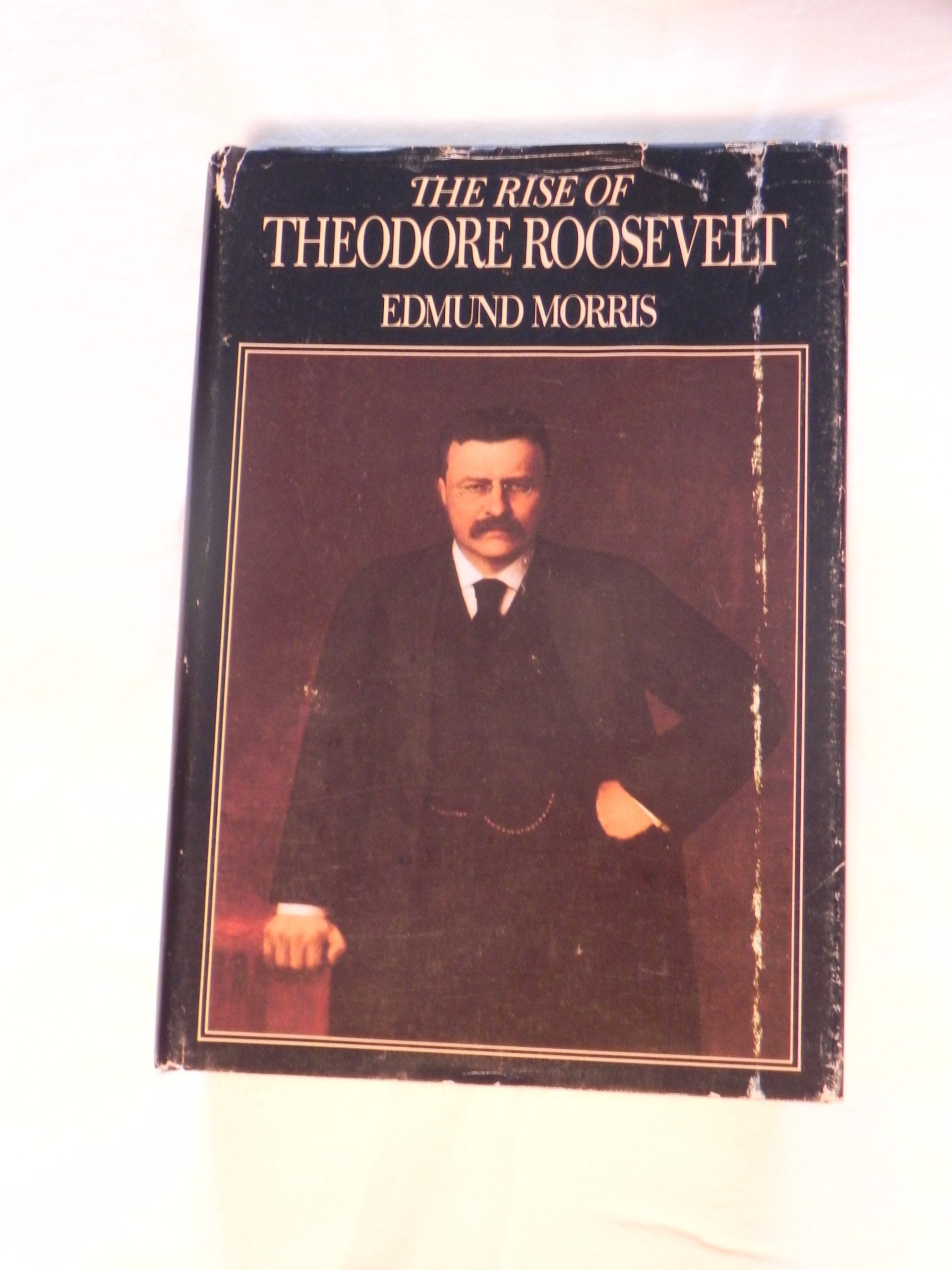 The Rise of Theodore Roosevelt,New