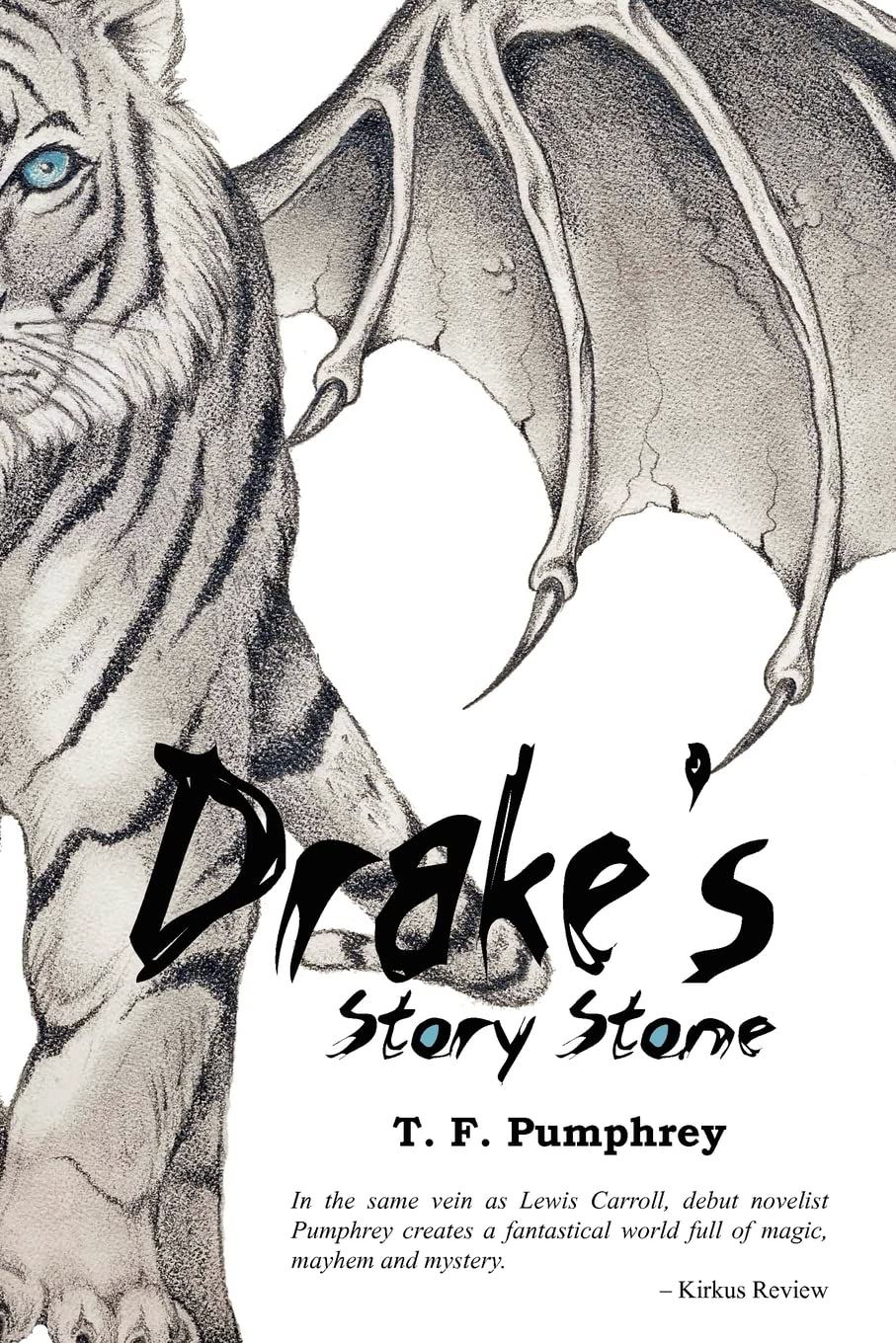 Drake'S Story Stone,Used
