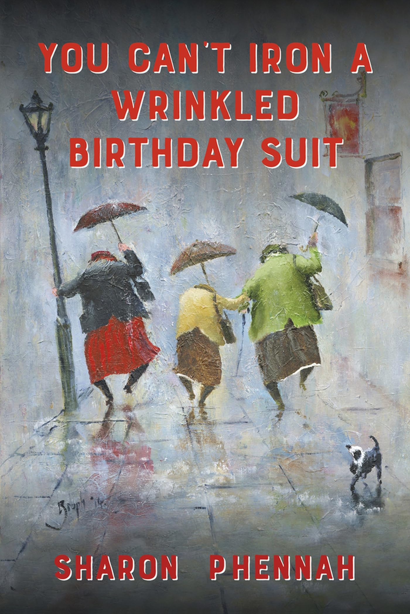 You Can't Iron a Wrinkled Birthday Suit,Used