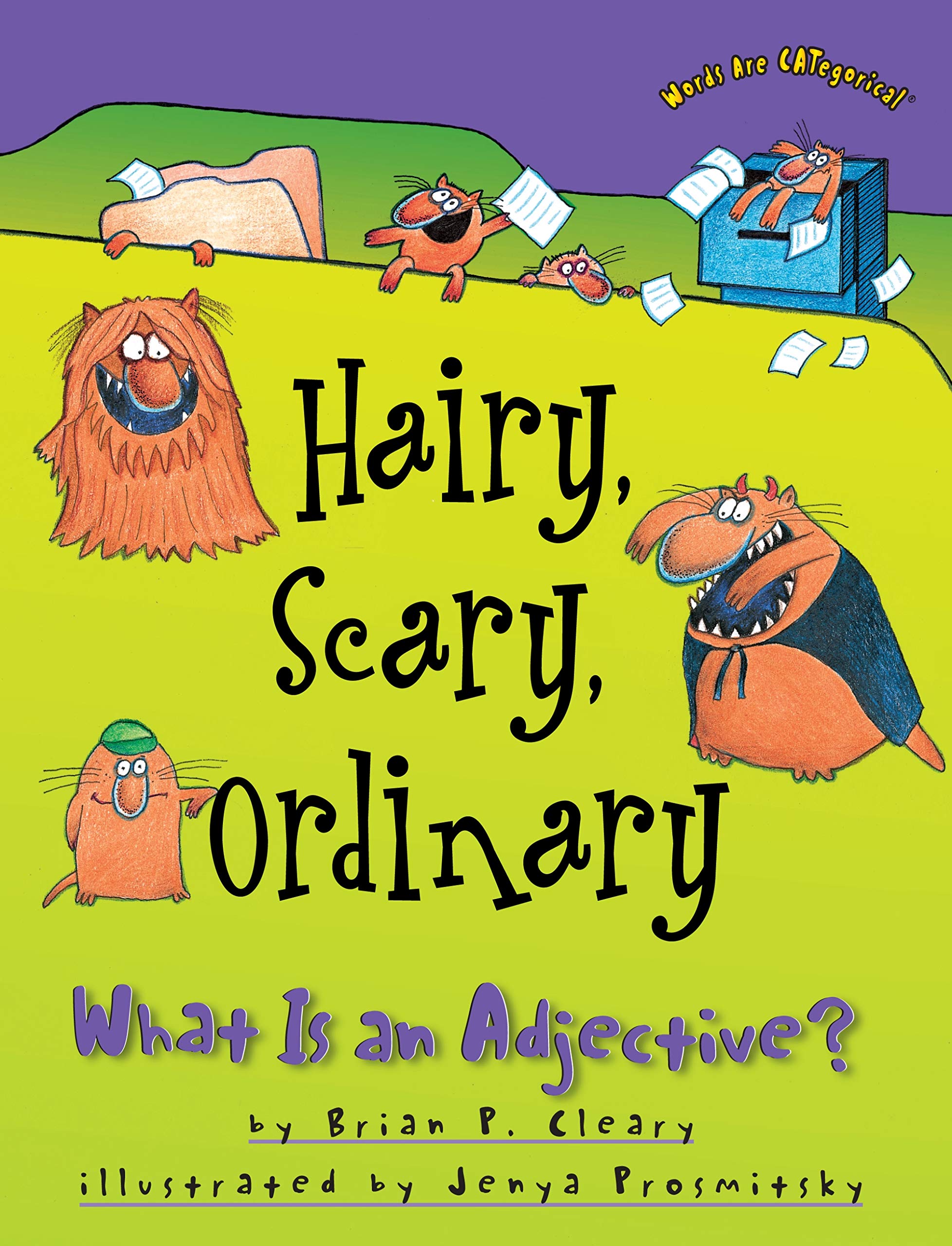 Hairy, Scary, Ordinary: What Is an Adjective? (Words Are CATegorical ),Used