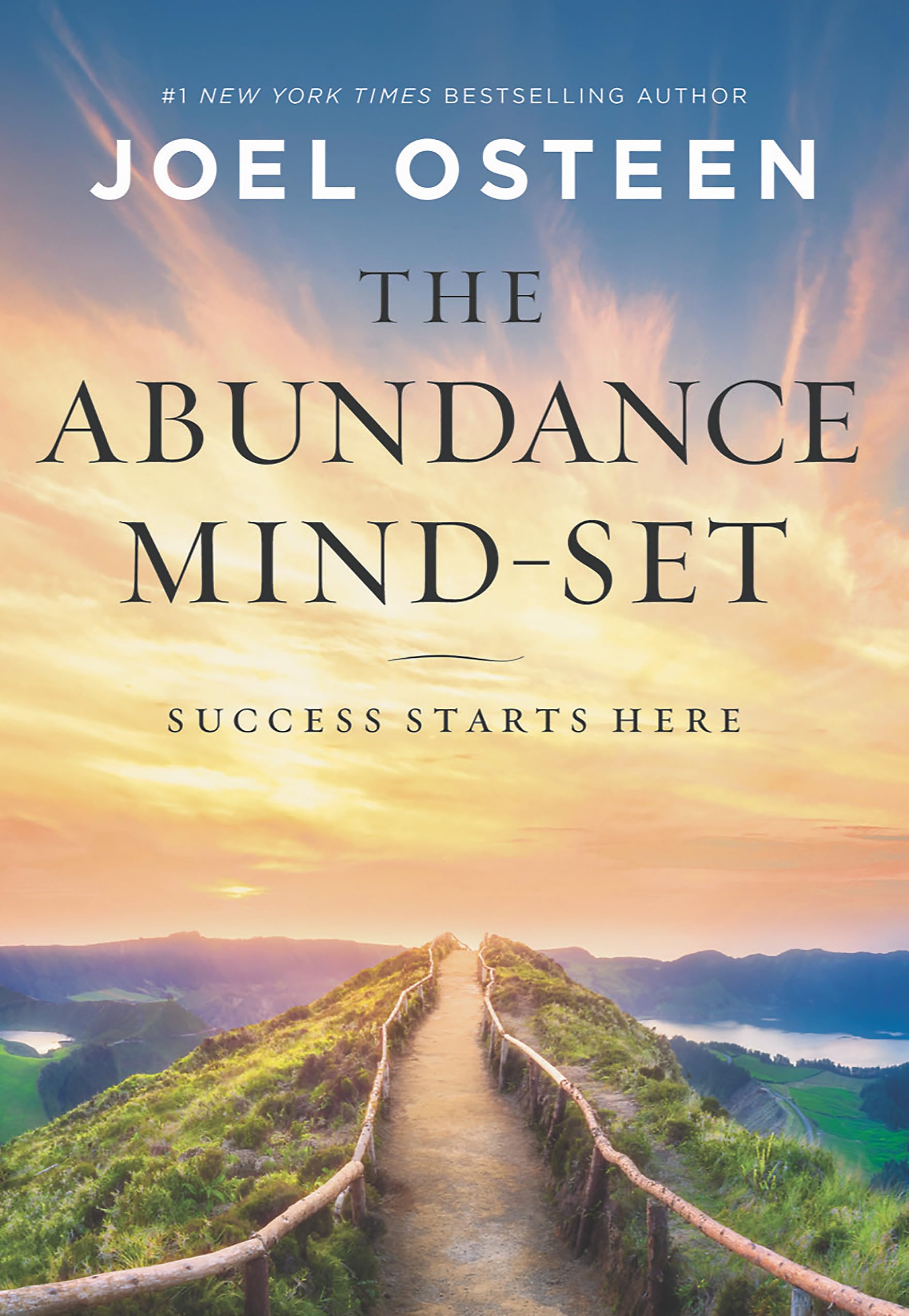 The Abundance MindSet: Success Starts Here,New
