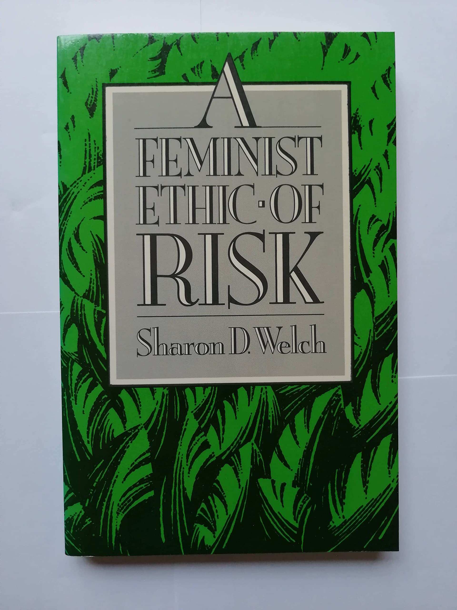 Feminist Ethic Of Risk