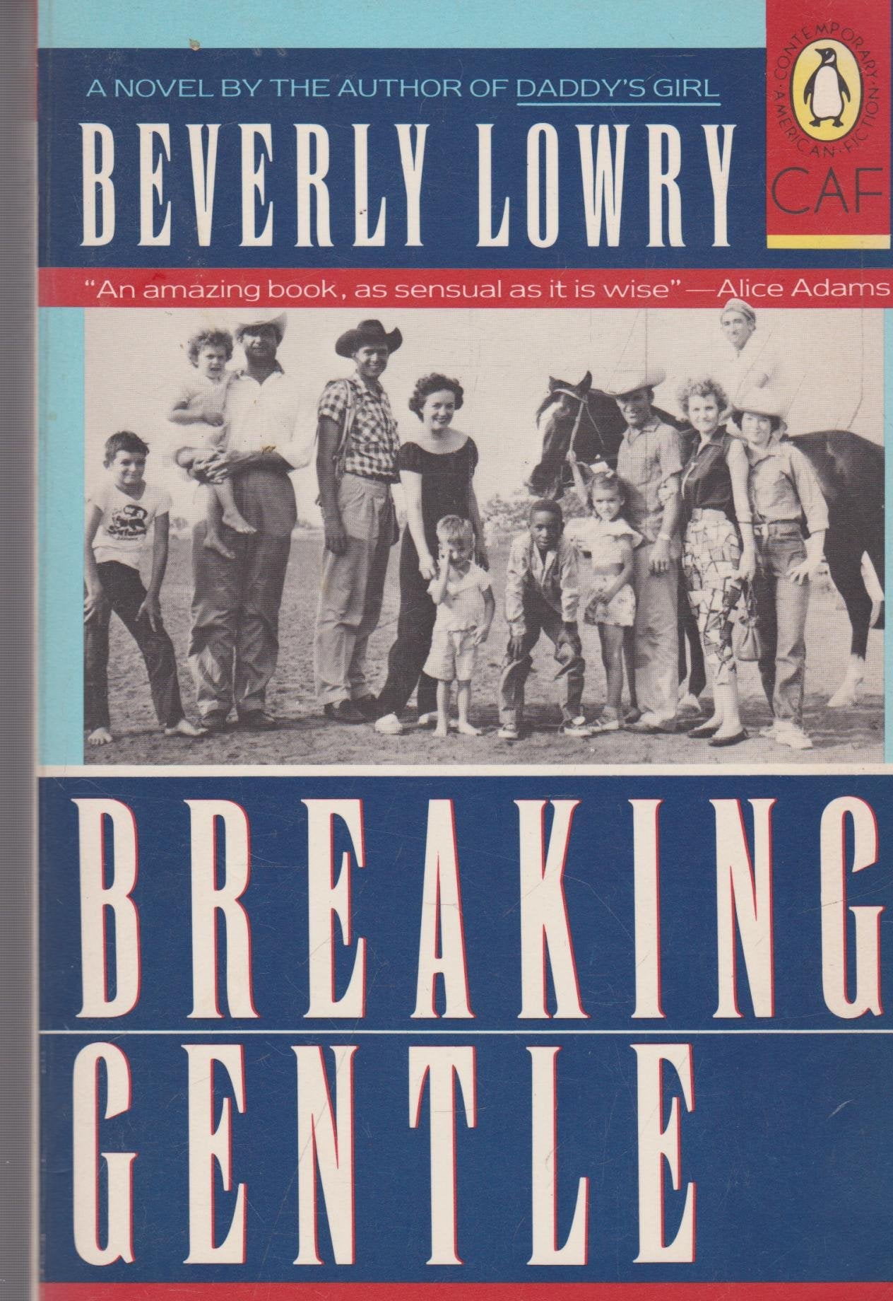 Breaking Gentle,Used