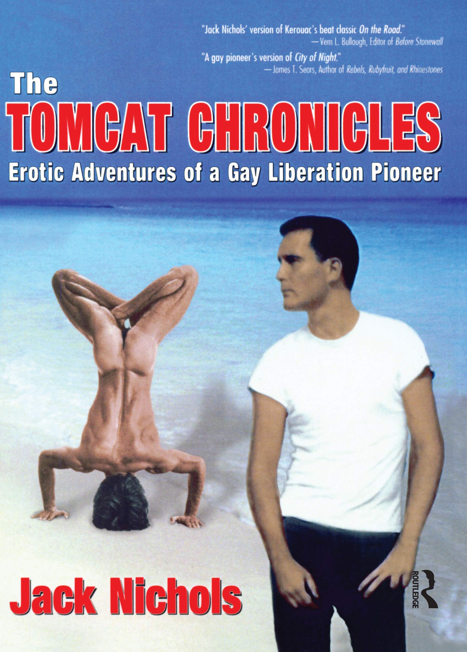 The Tomcat Chronicles (Haworth Series In Glbt Community And Youth Studies)