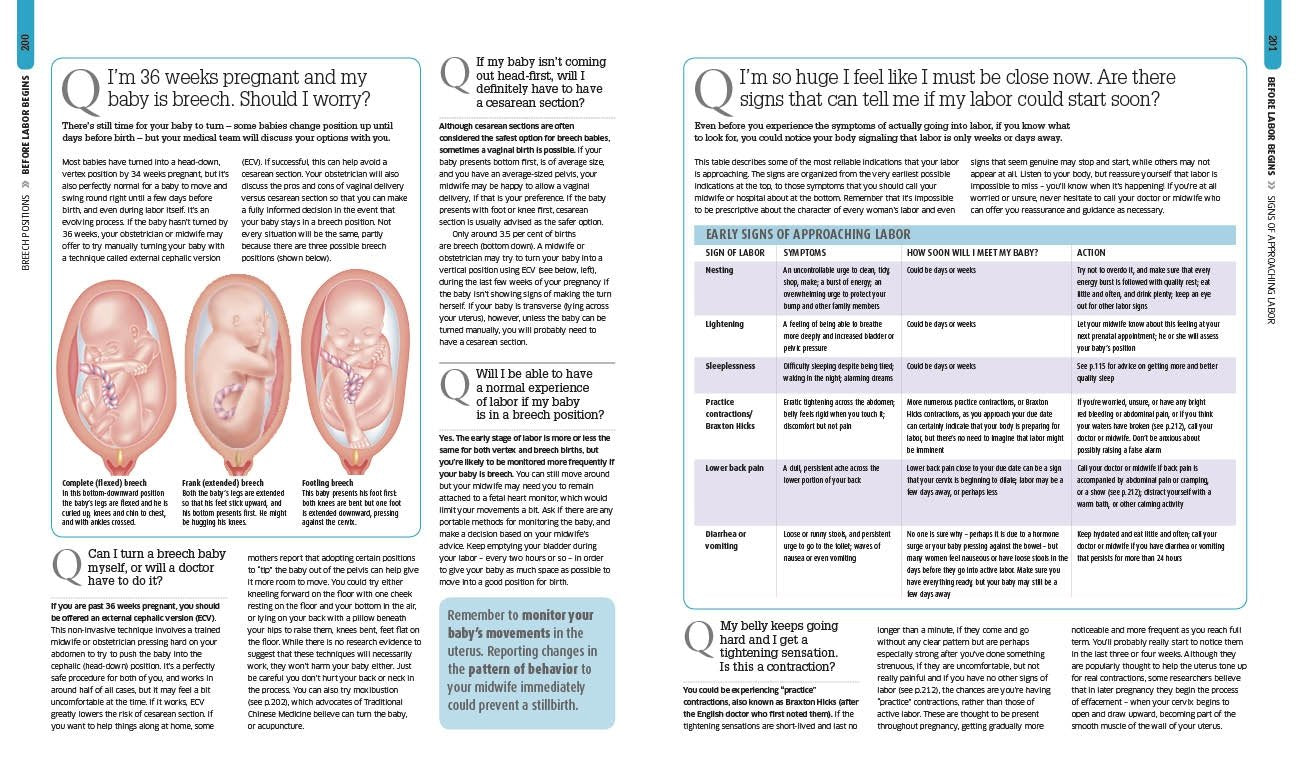 The Pregnancy Encyclopedia: All Your Questions Answered,New