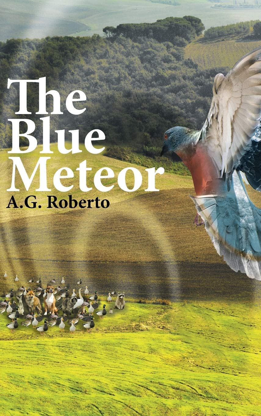 The Blue Meteor,Used