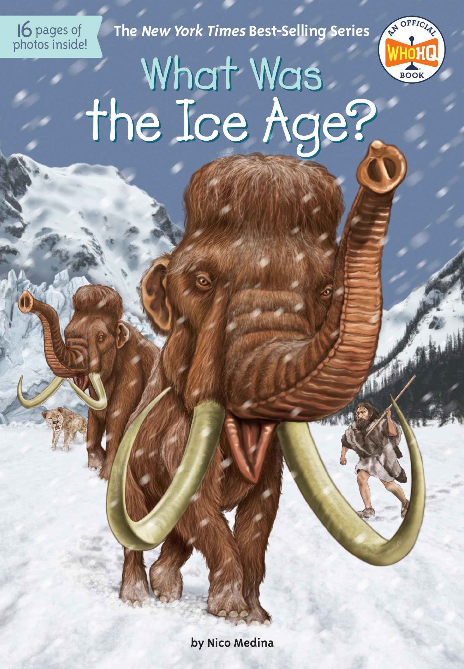 What Was The Ice Age?,Used
