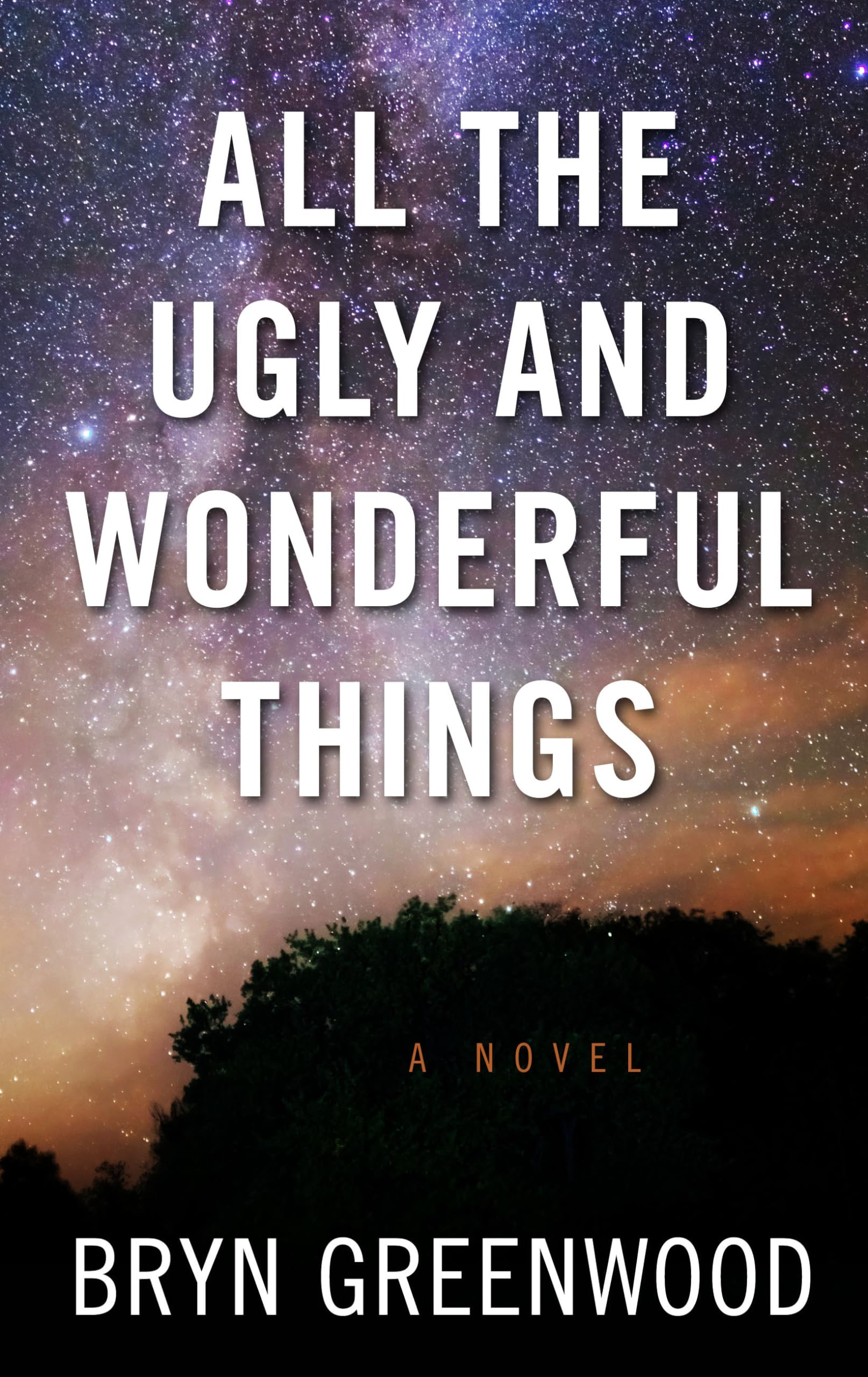 All the Ugly and Wonderful Things (Thorndike Press Large Print),Used