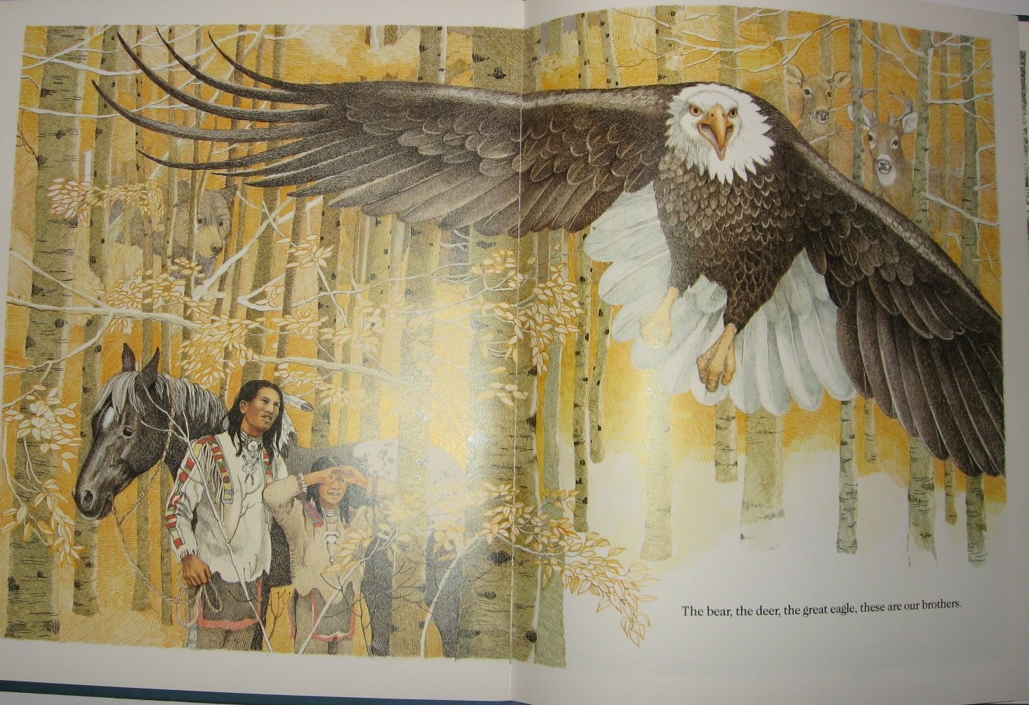 Brother Eagle, Sister Sky,Used