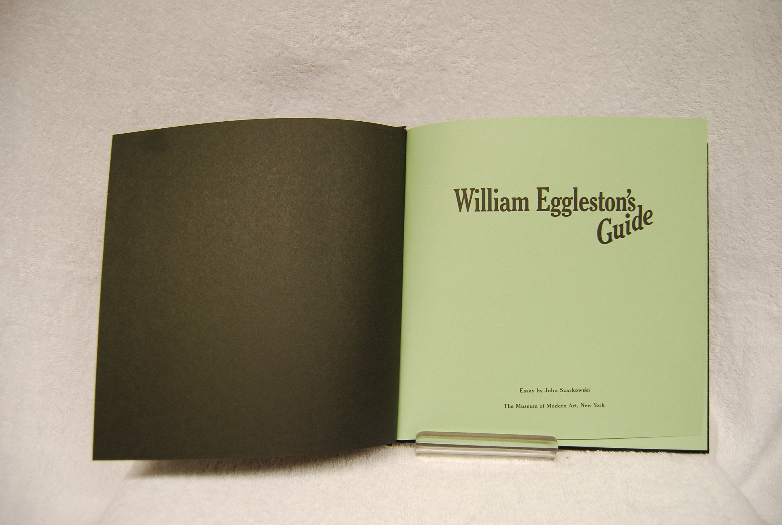 William Eggleston's Guide,Used