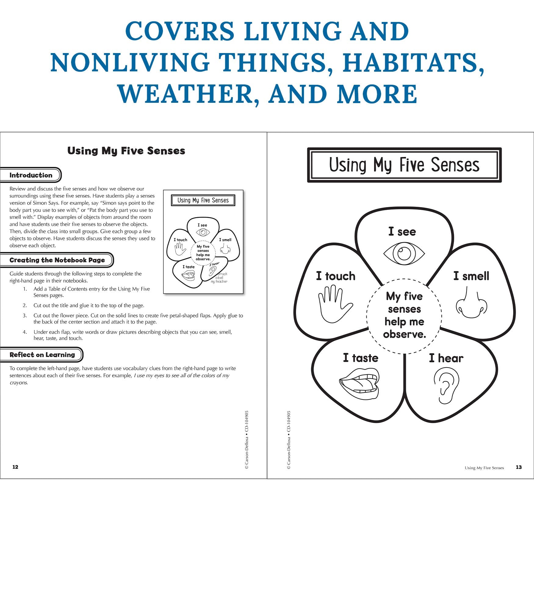 Carson Dellosa 1st Grade Interactive Notebooks, Reproducible Workbook Covering Physical, Space, and Earth Science, Test Prep and,Used