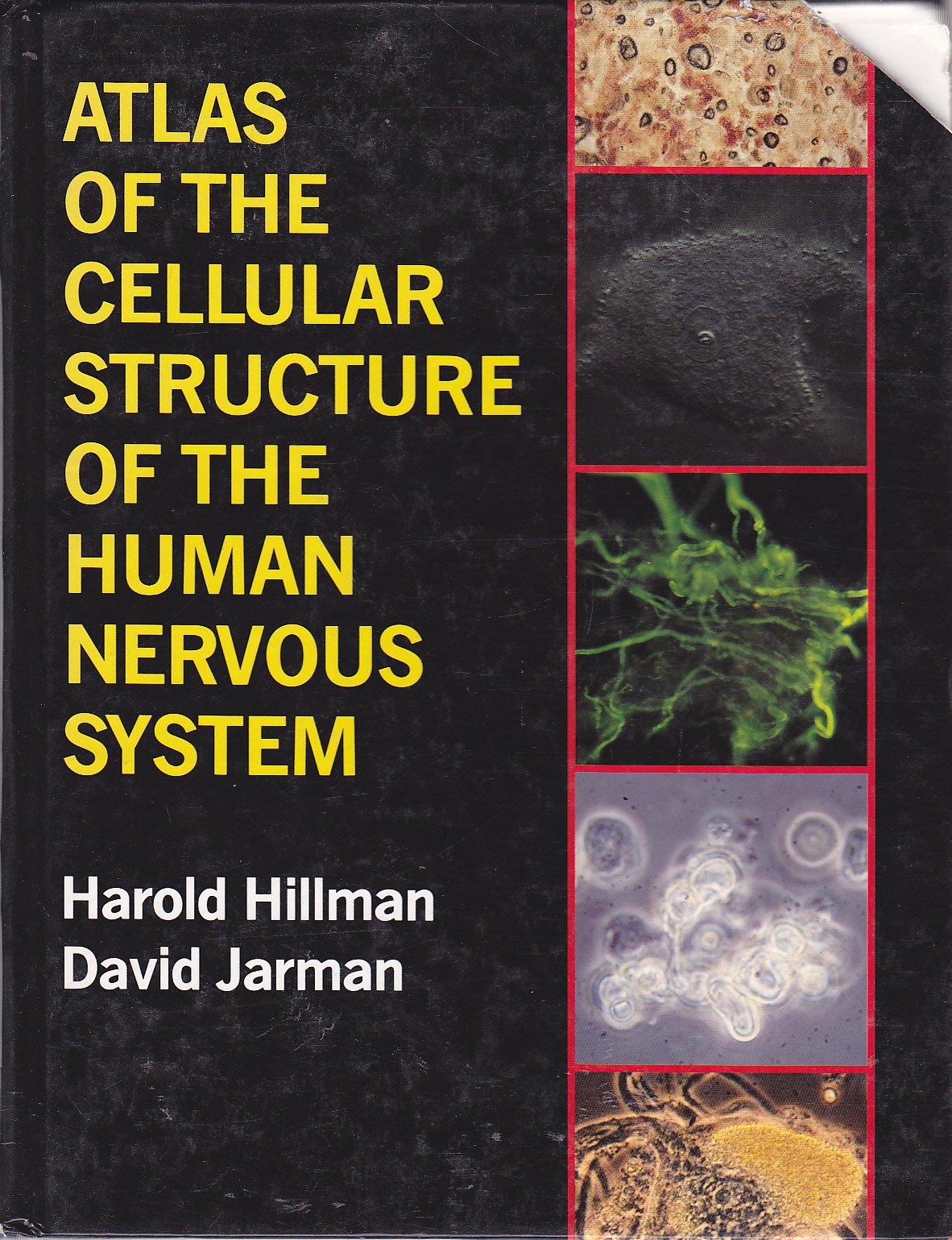 Atlas of the Cellular Structure of the Human Nervous System,Used