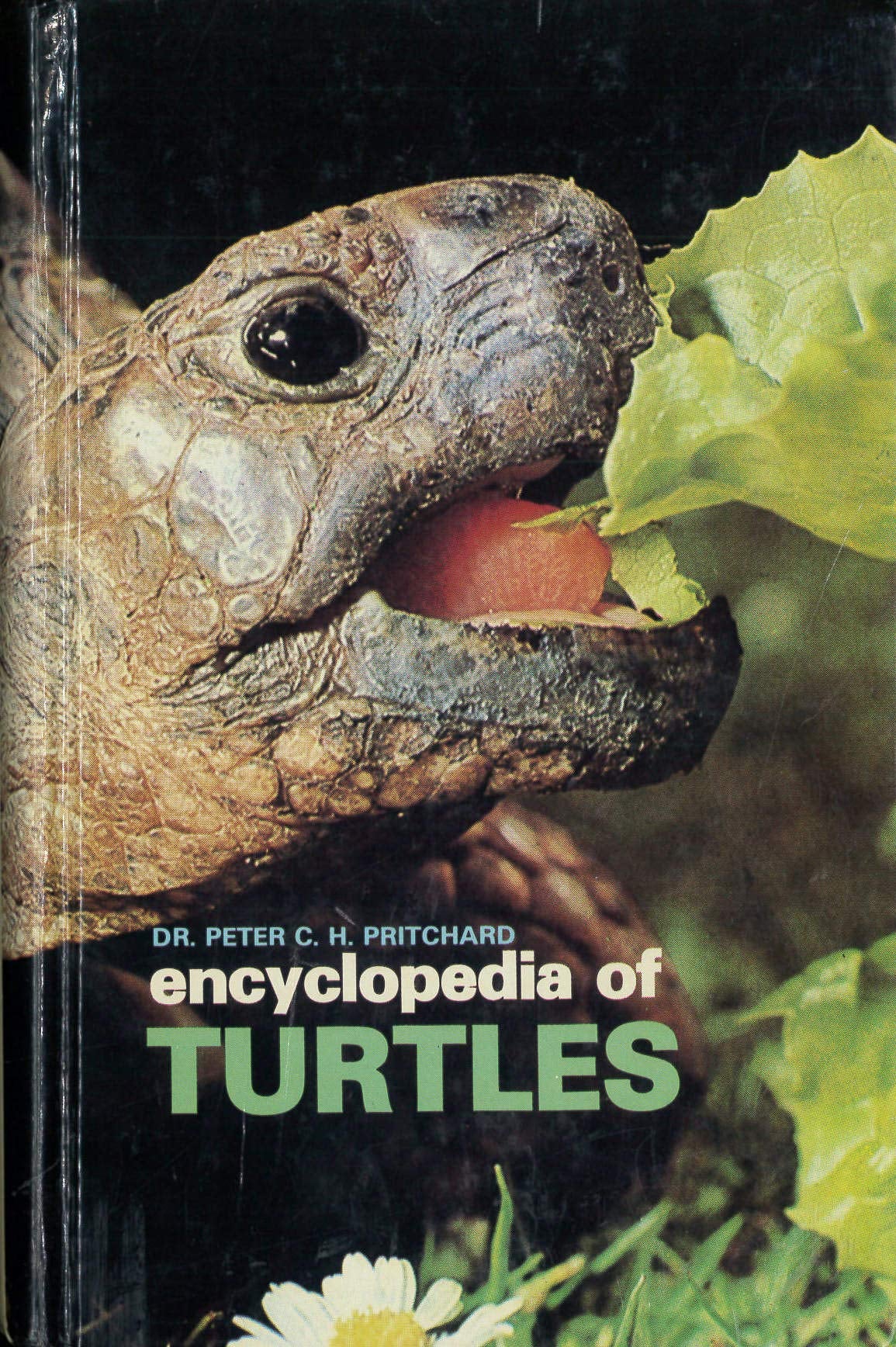 Encyclopedia of Turtles,New