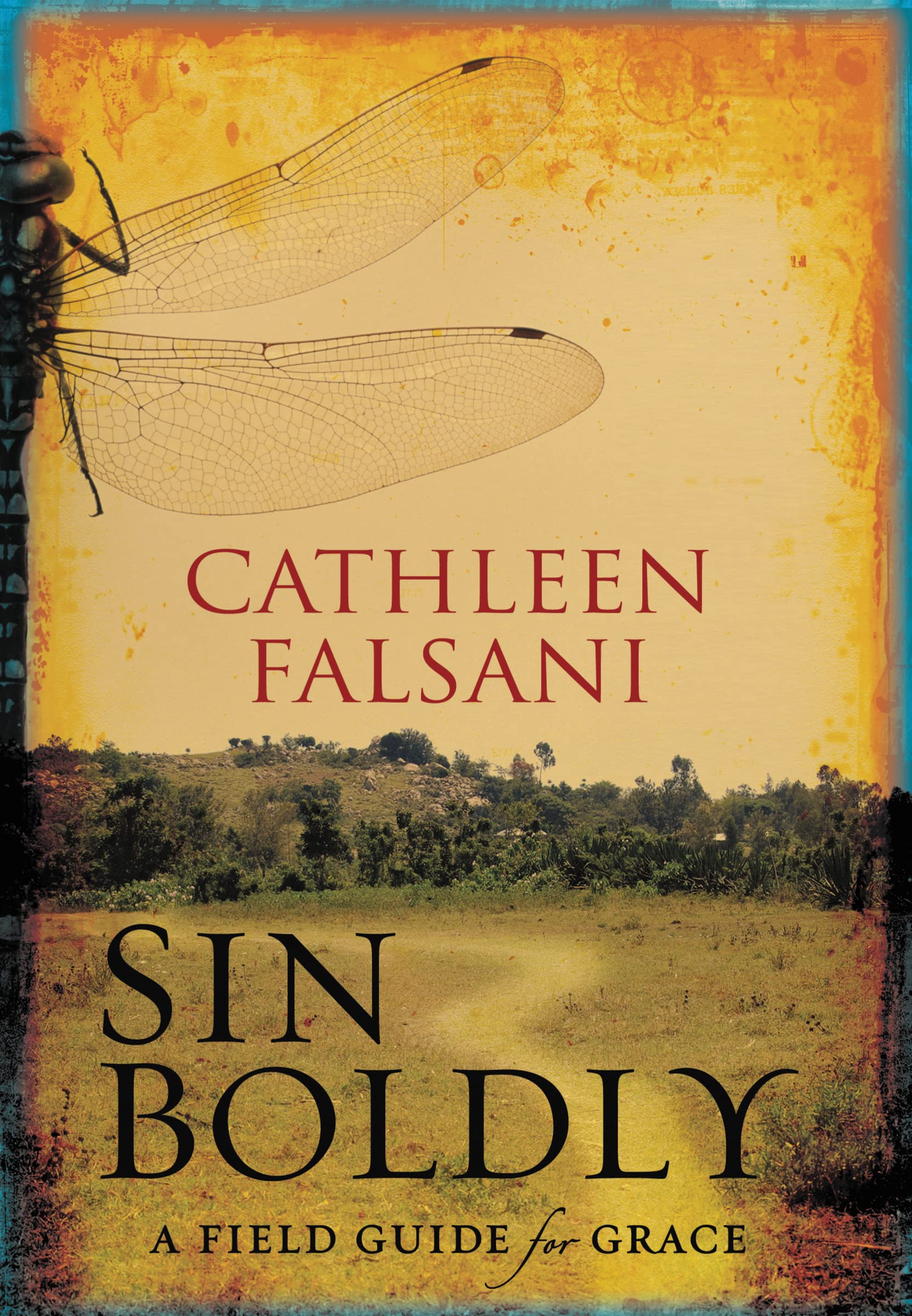 Sin Boldly: A Field Guide for Grace,New