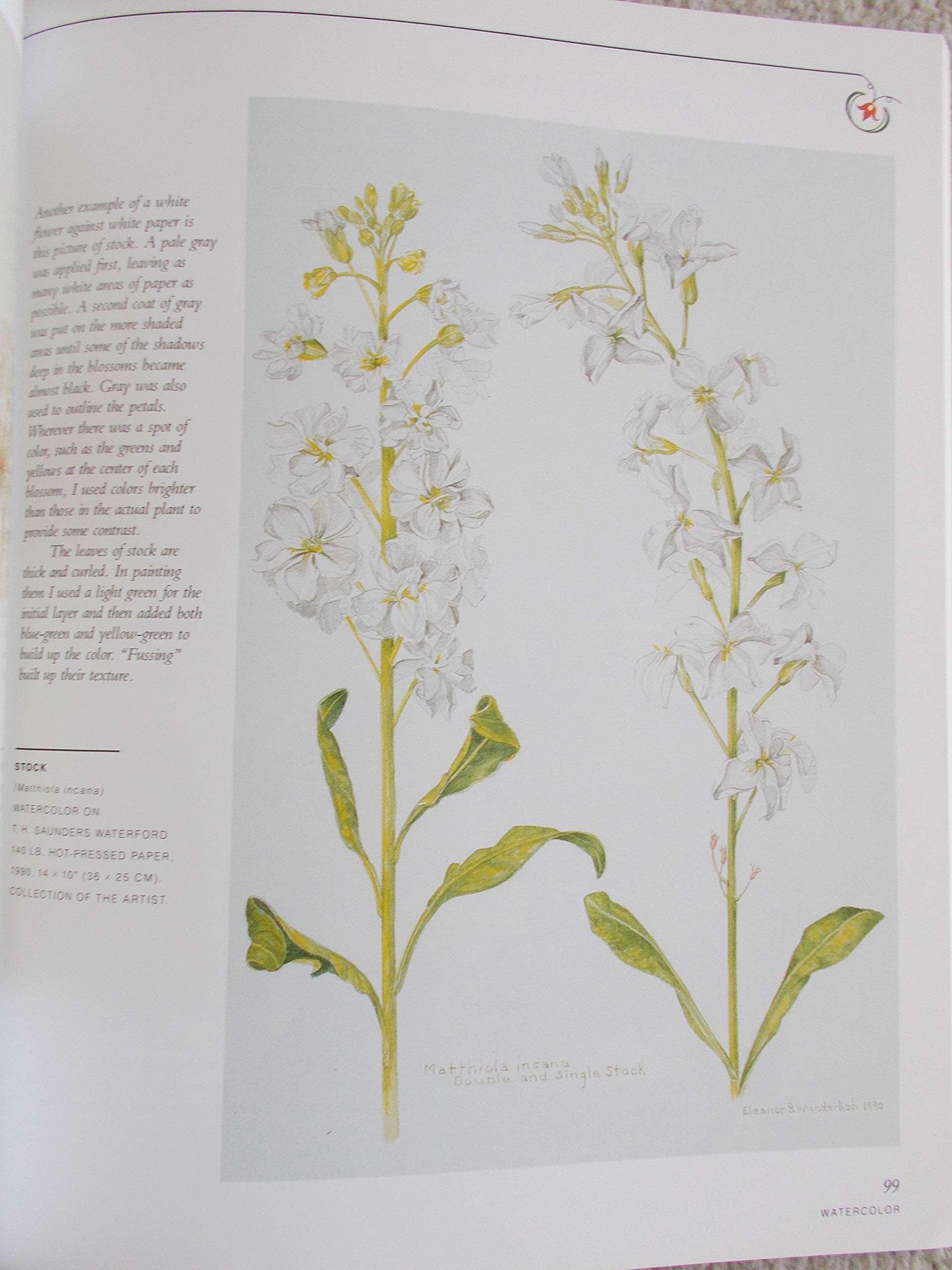 Botanical Illustration in Watercolor,New