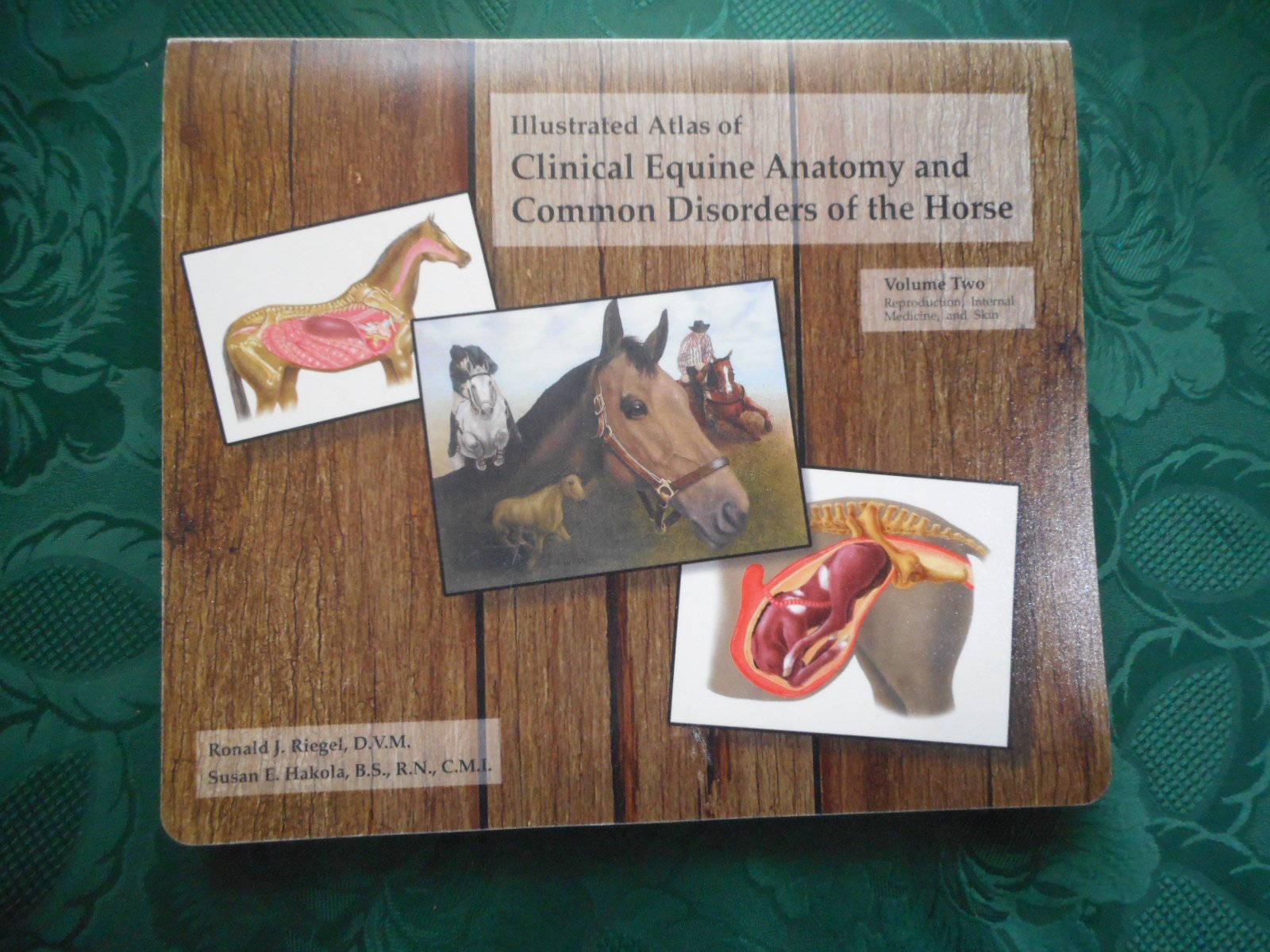 The Illustrated Atlas Of Clinical Equine Anatomy And Common Disorders Of The Horse,New