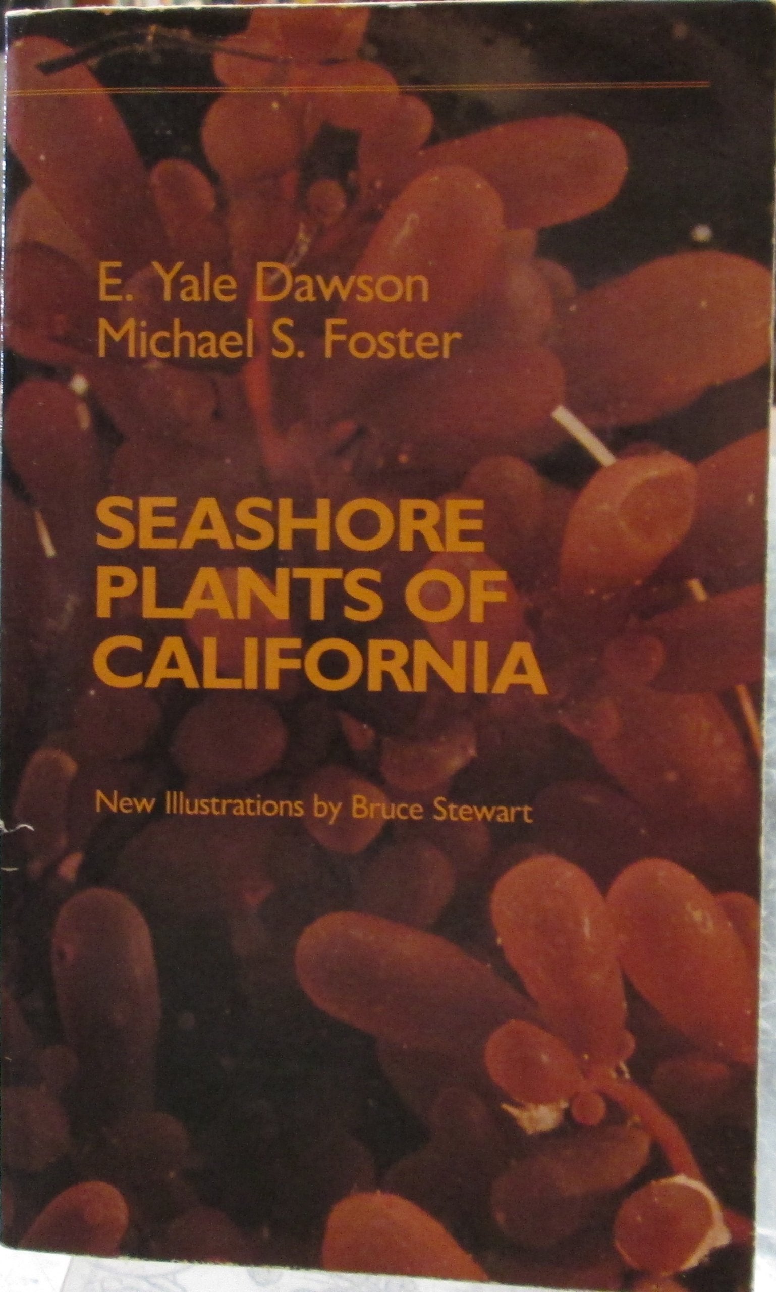 Seashore Plants Of California (California Natural History Guides),New
