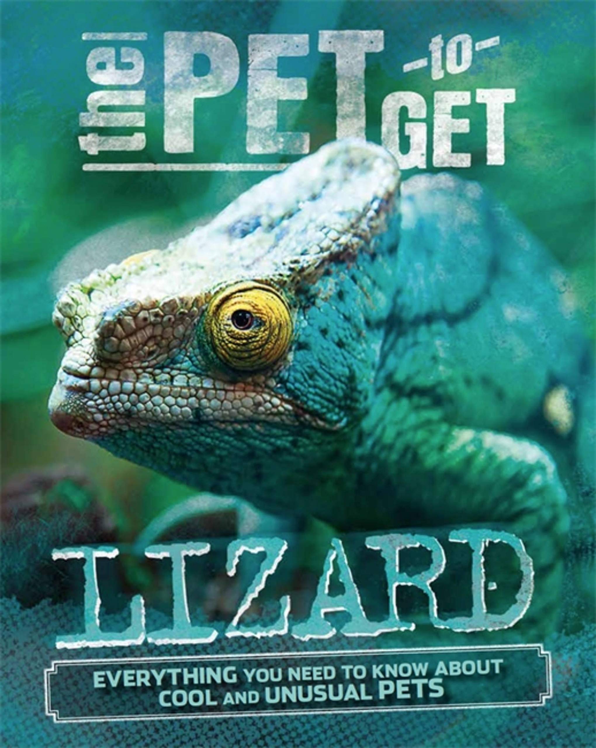 The Pet To Get: Lizard