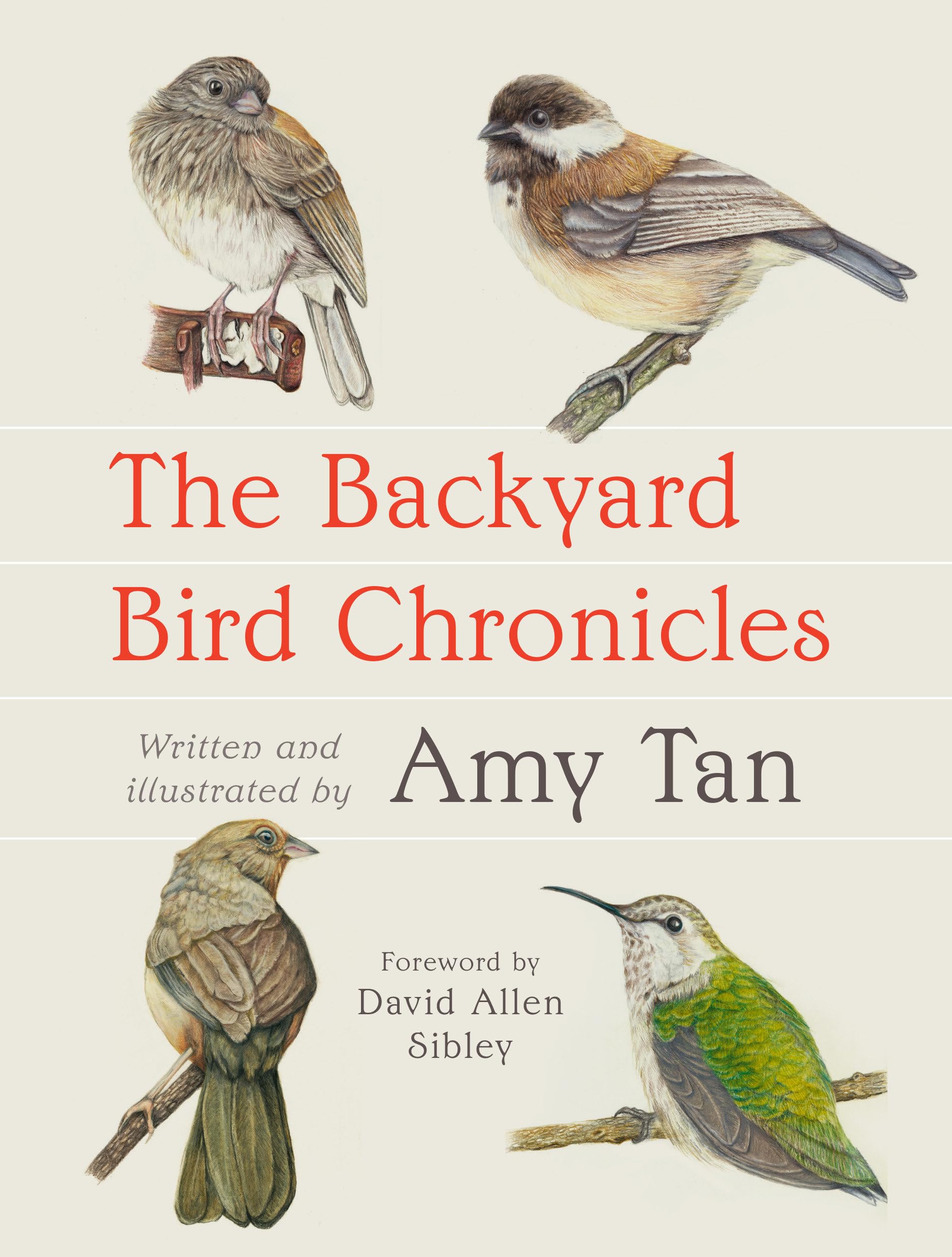 The Backyard Bird Chronicles,New