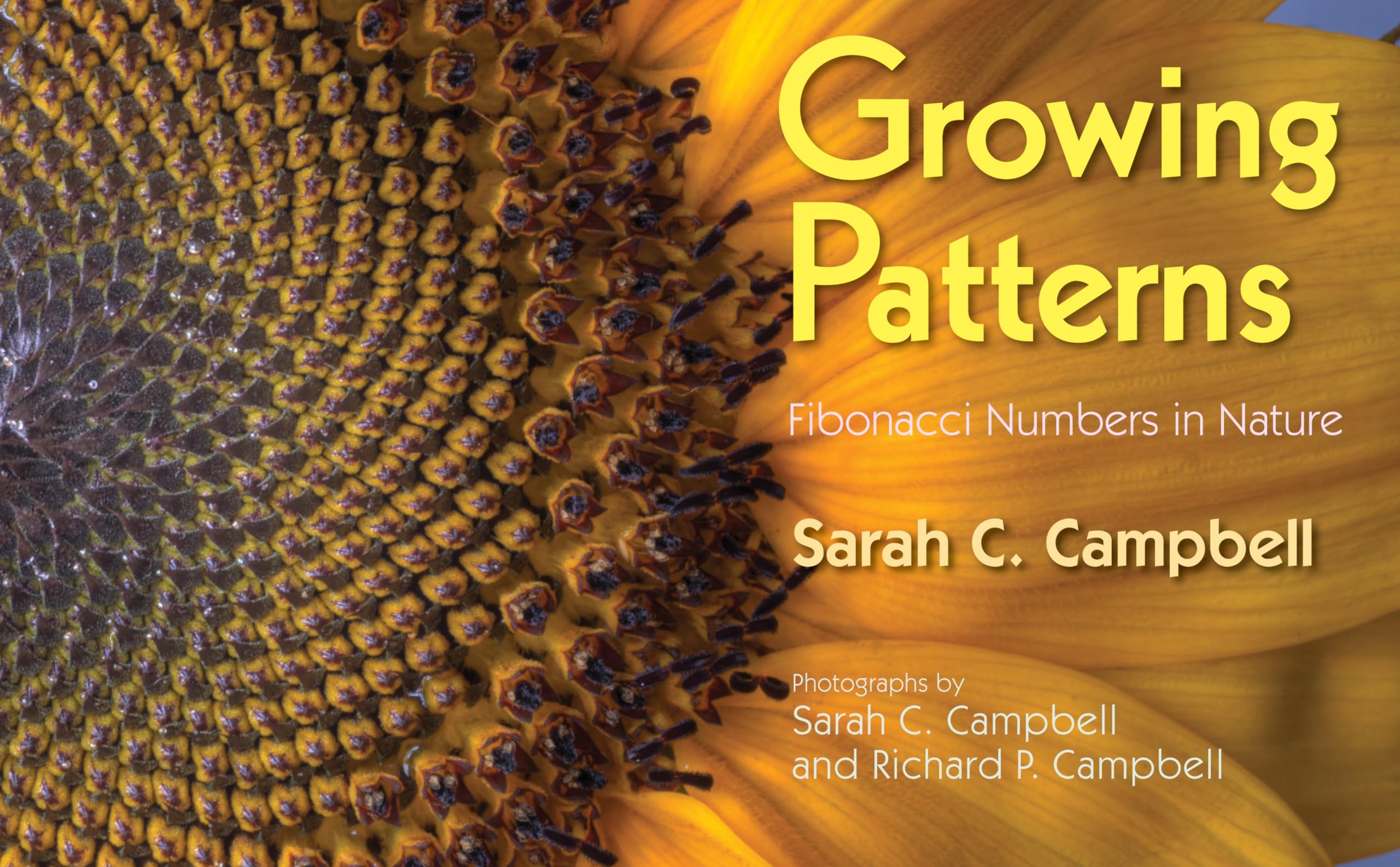 Growing Patterns: Fibonacci Numbers In Nature,Used