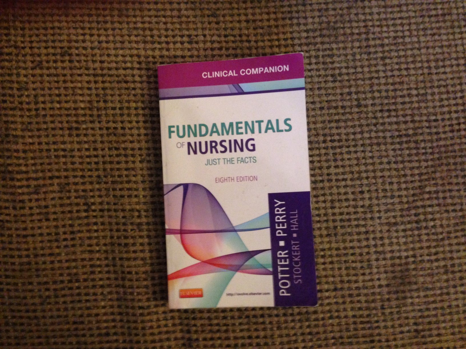 Clinical Companion For Fundamentals Of Nursing: Just The Facts,New
