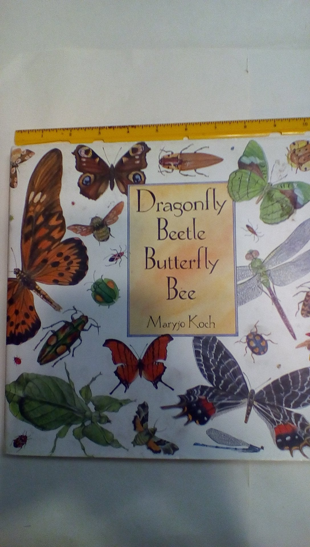 Dragonfly Beetle Butterfly Bee,Used