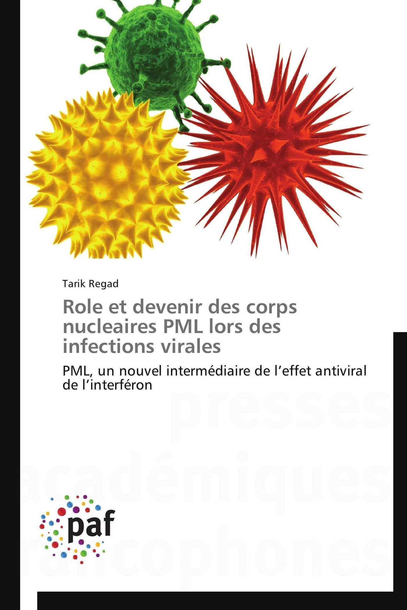 Role et devenir des corps nucleaires PML lors des infections virales: PML, un nouvel intermdiaire de leffet antiviral de linte,Used