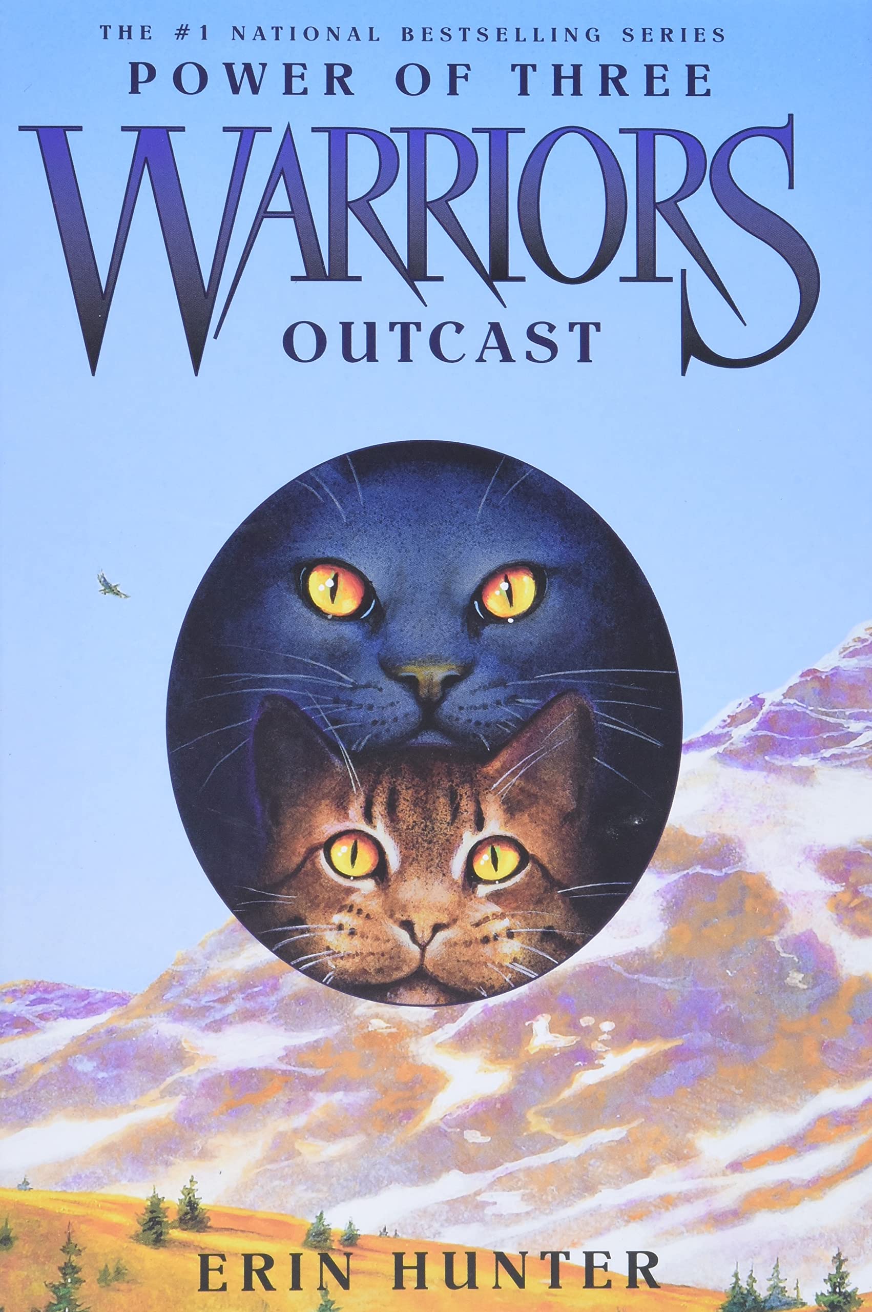 Outcast (Warriors: Power of Three, Book 3),Used