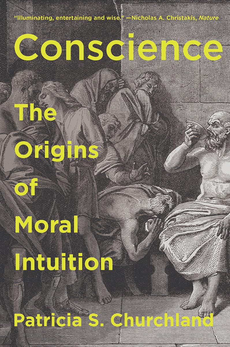 Conscience: The Origins of Moral Intuition,Used