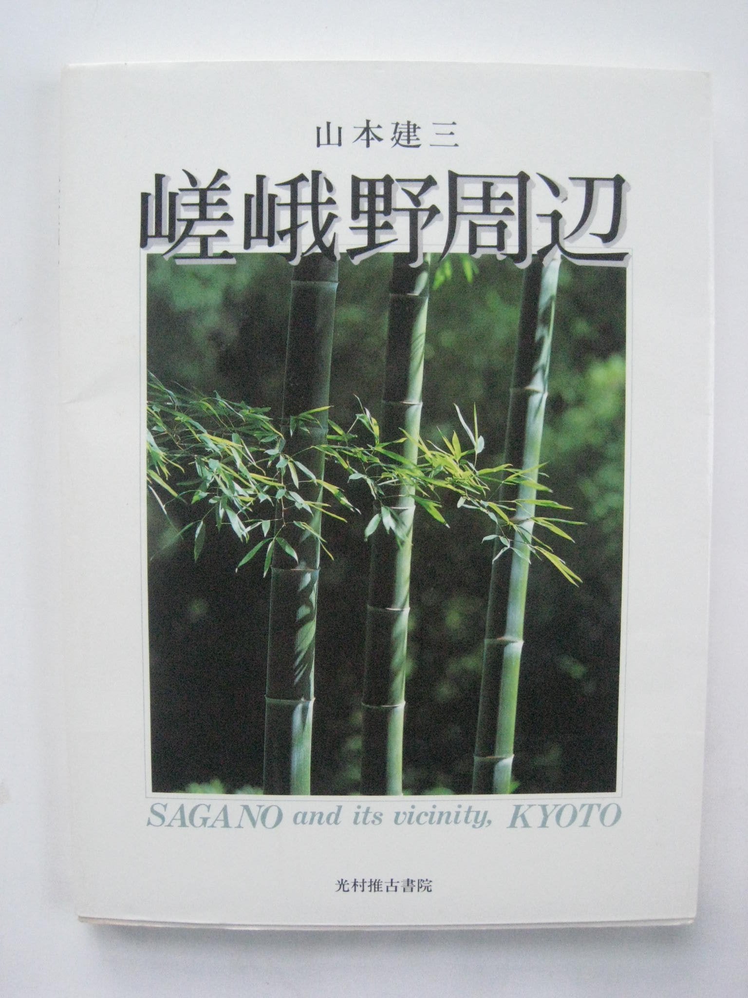 Sagano And Its Vicinity Kyoto (Japanese And English Edition)
