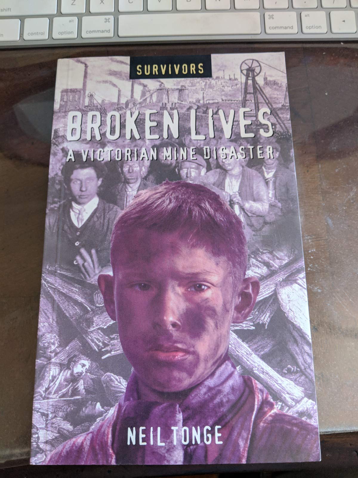 Broken Lives: A Victorian Mine Disaster (Survivors),Used