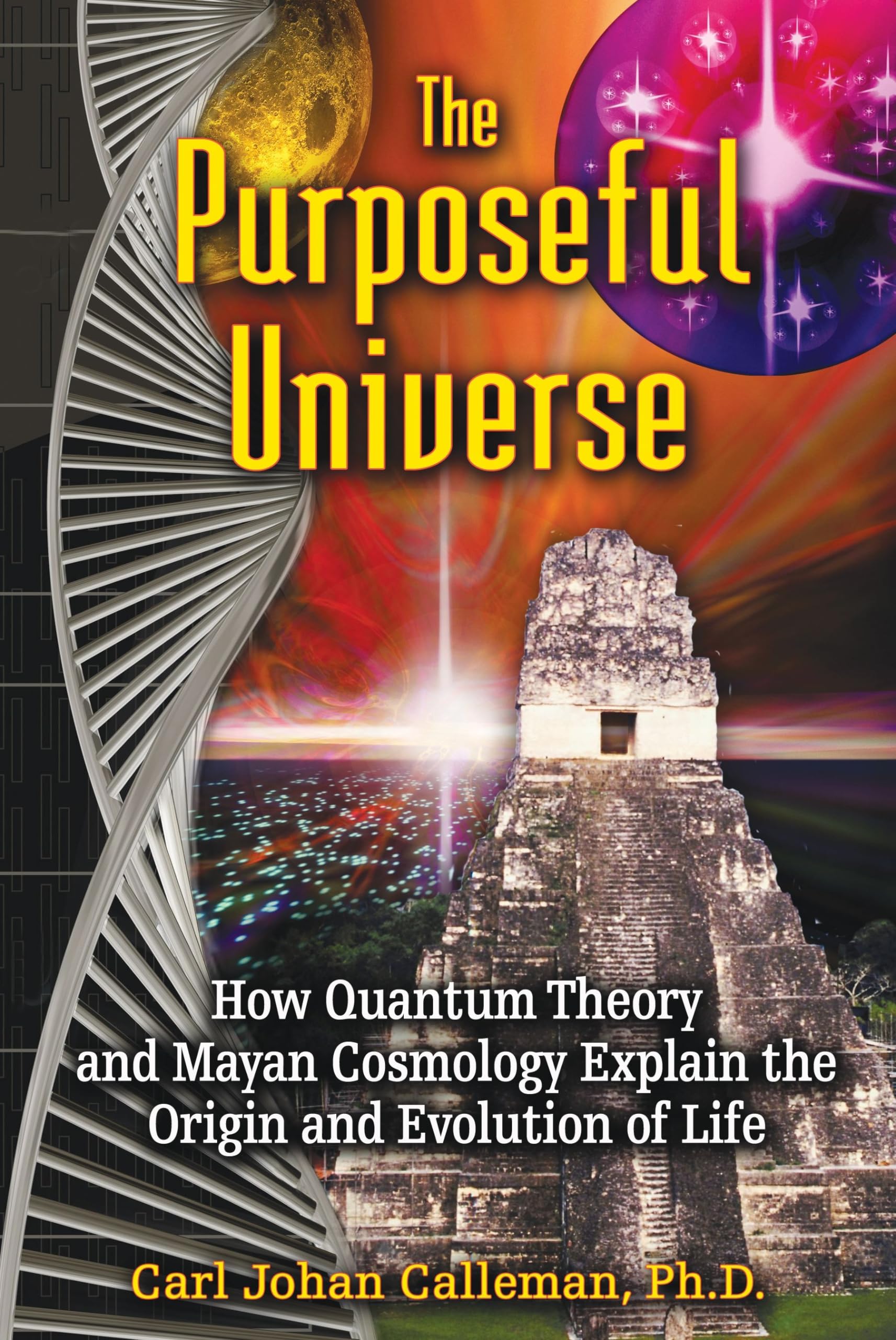 The Purposeful Universe: How Quantum Theory And Mayan Cosmology Explain The Origin And Evolution Of Life,Used