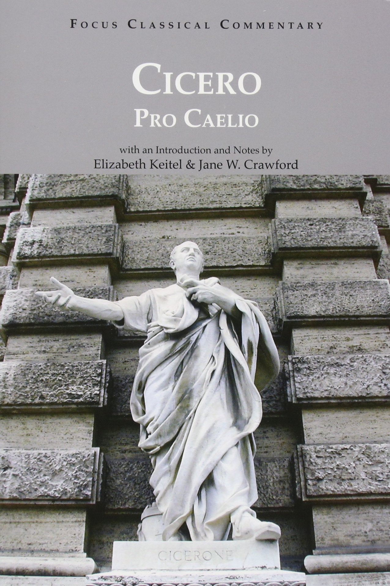 Pro Caelio (Latin Edition),New