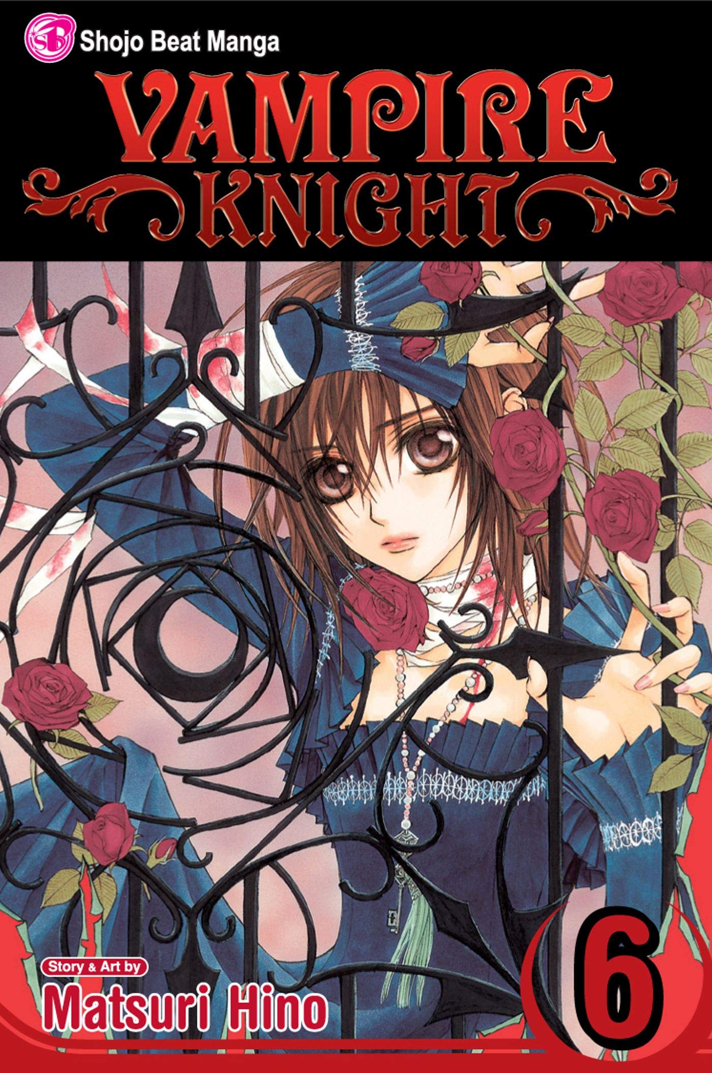 Vampire Knight, Vol. 6,Used