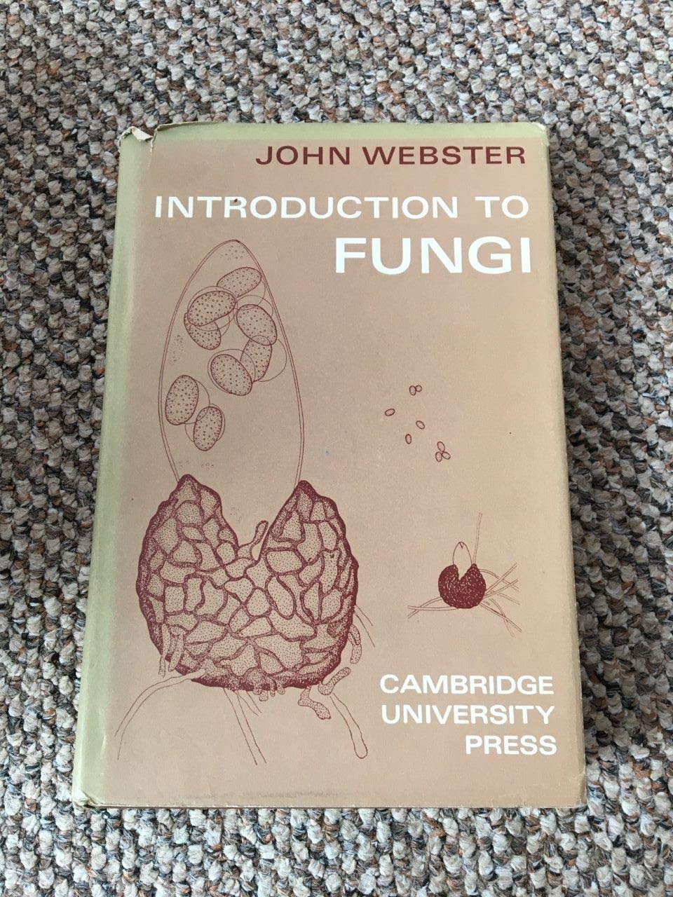 Introduction to Fungi,Used