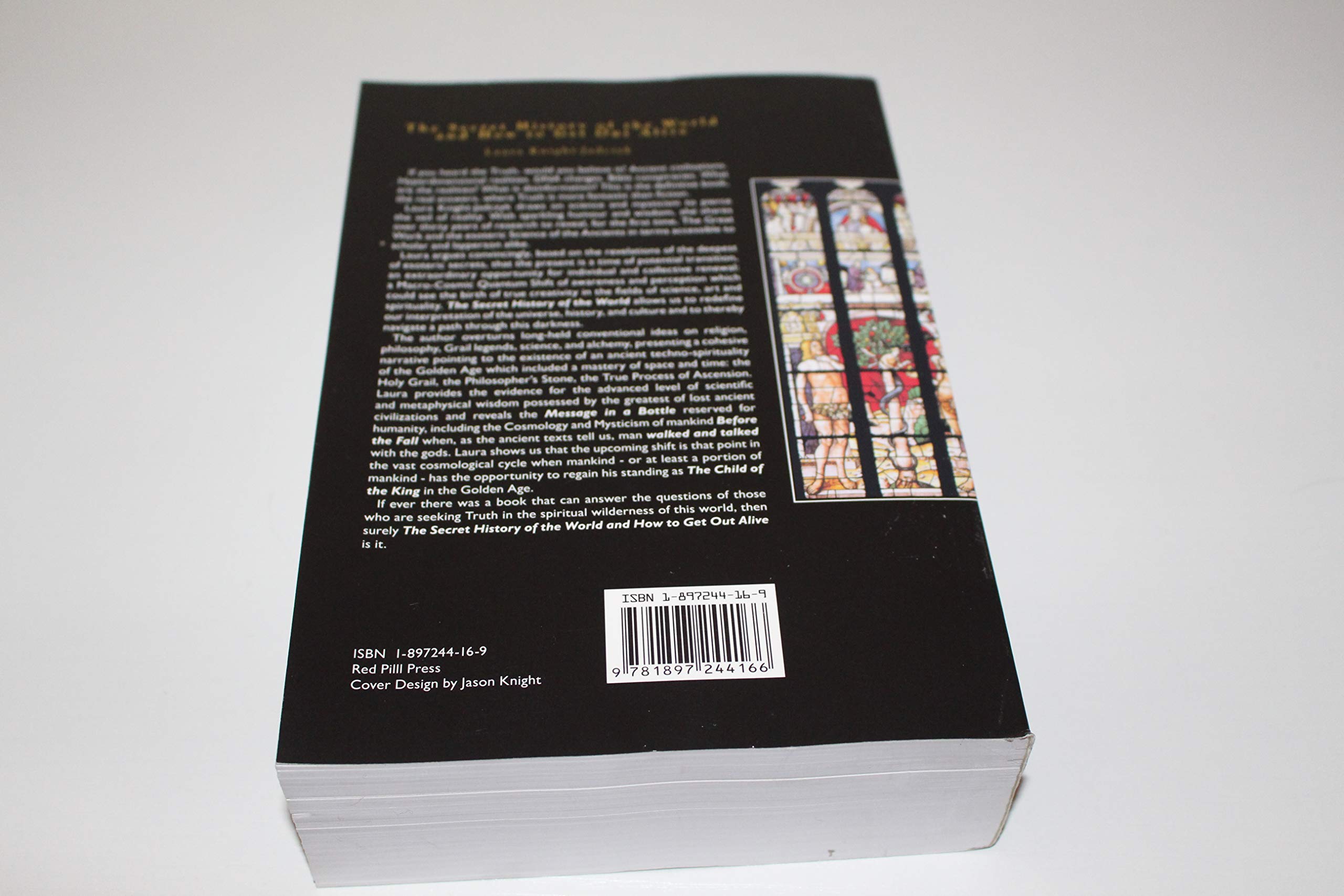 The Secret History of the World and How to Get Out Alive,Used