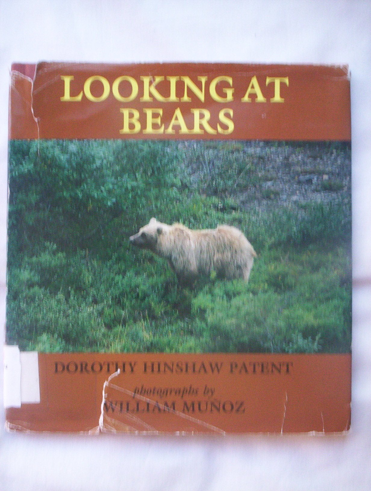 Looking at Bears,Used