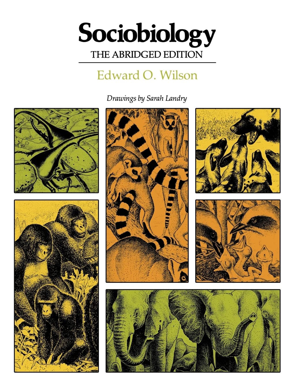 Sociobiology: The Abridged Edition,Used