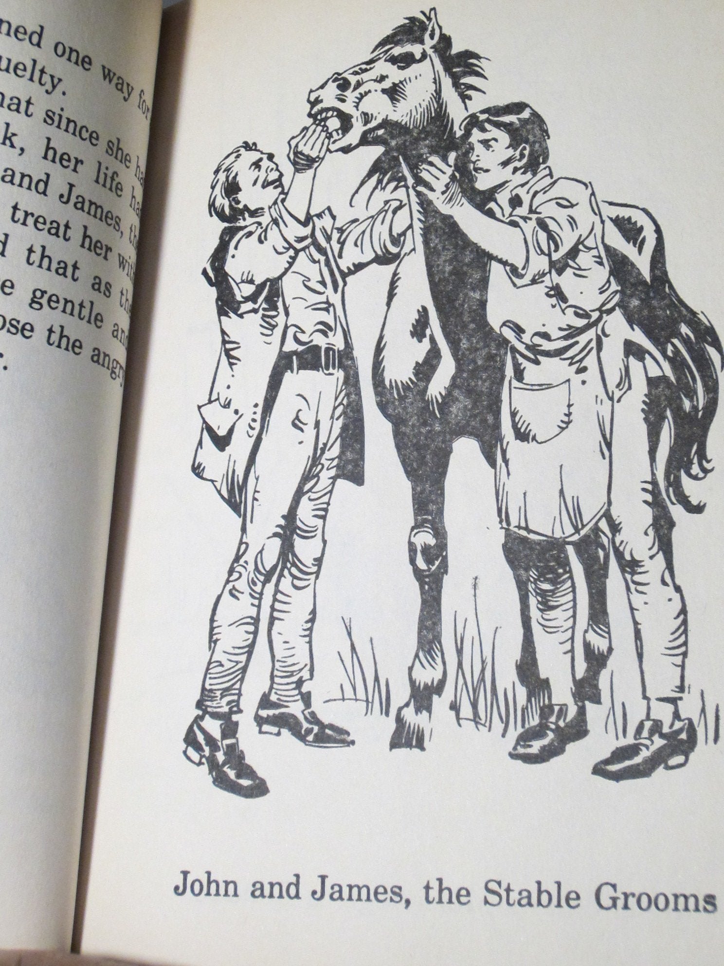 Black Beauty (Great Illustrated Classics),Used