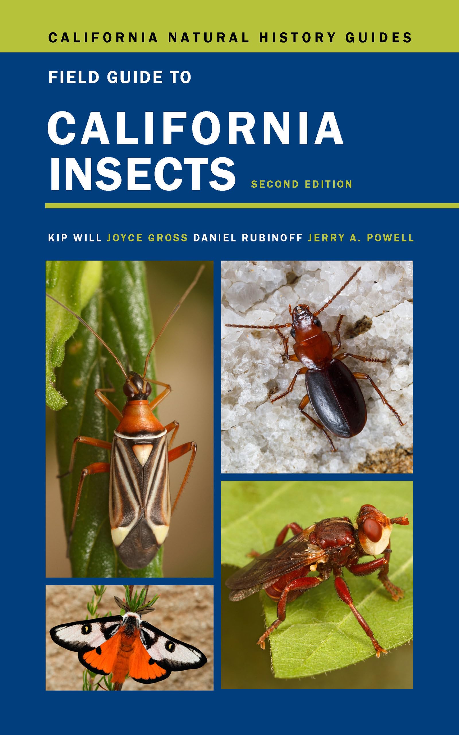 Field Guide to California Insects: Second Edition (Volume 111) (California Natural History Guides),Used