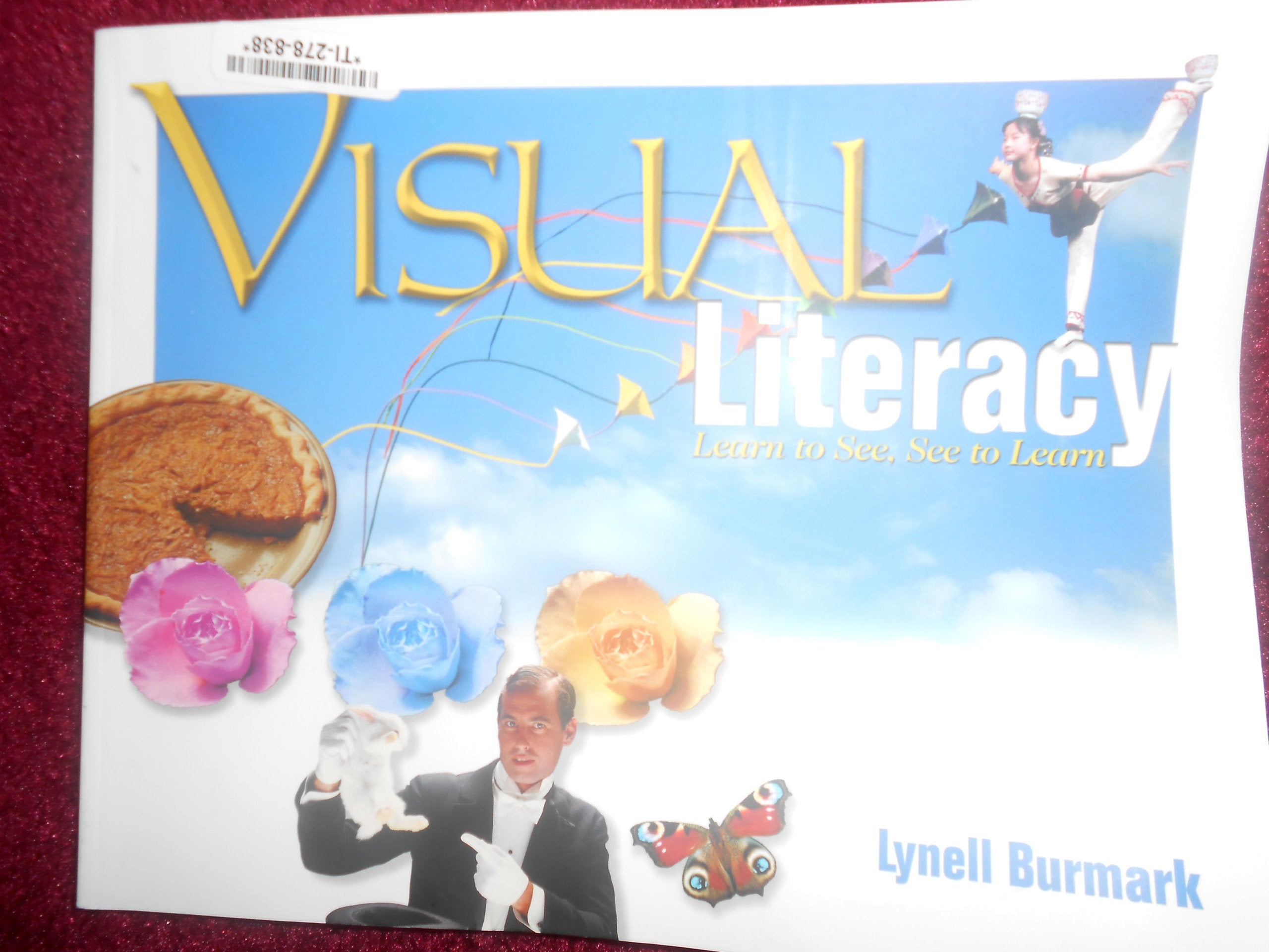 Visual Literacy: Learn to See, See to Learn,Used