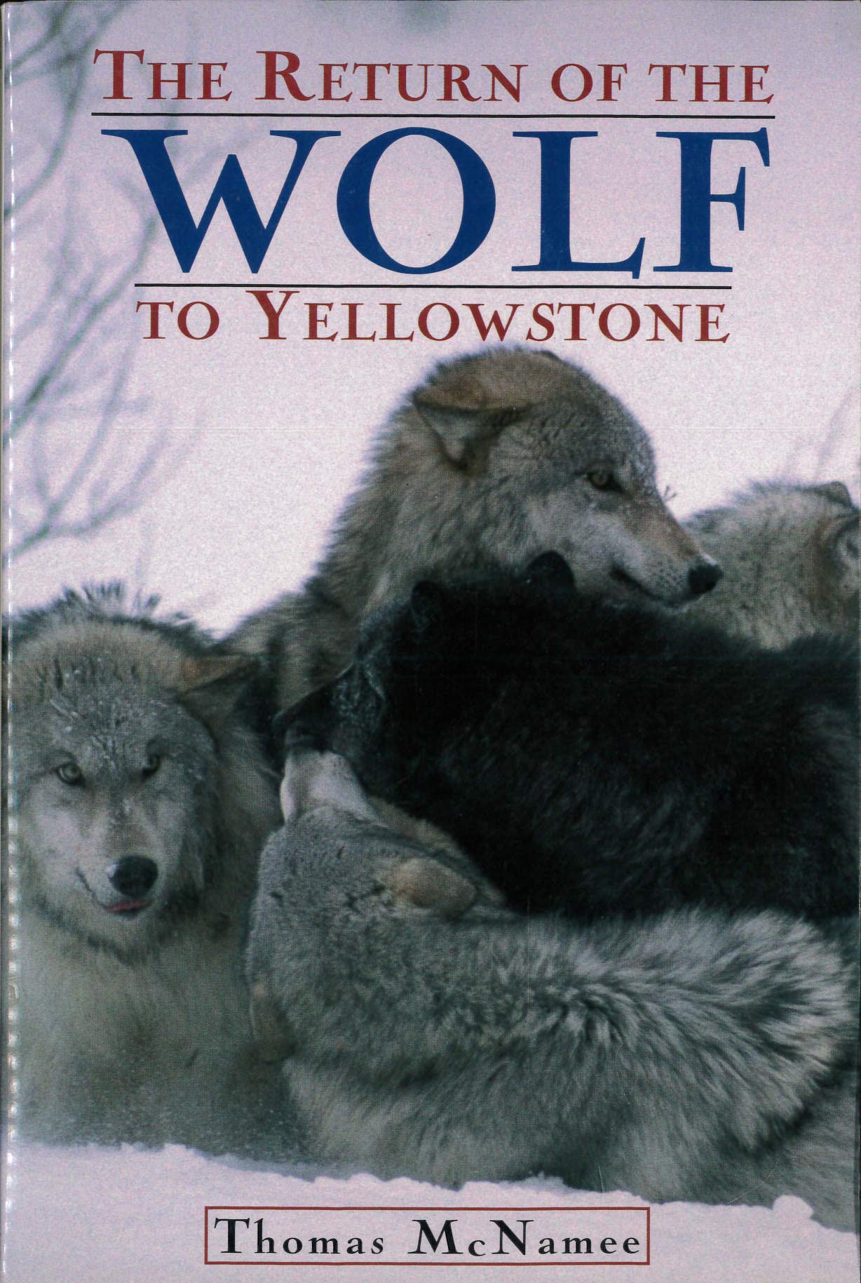 The Return of the Wolf to Yellowstone,Used