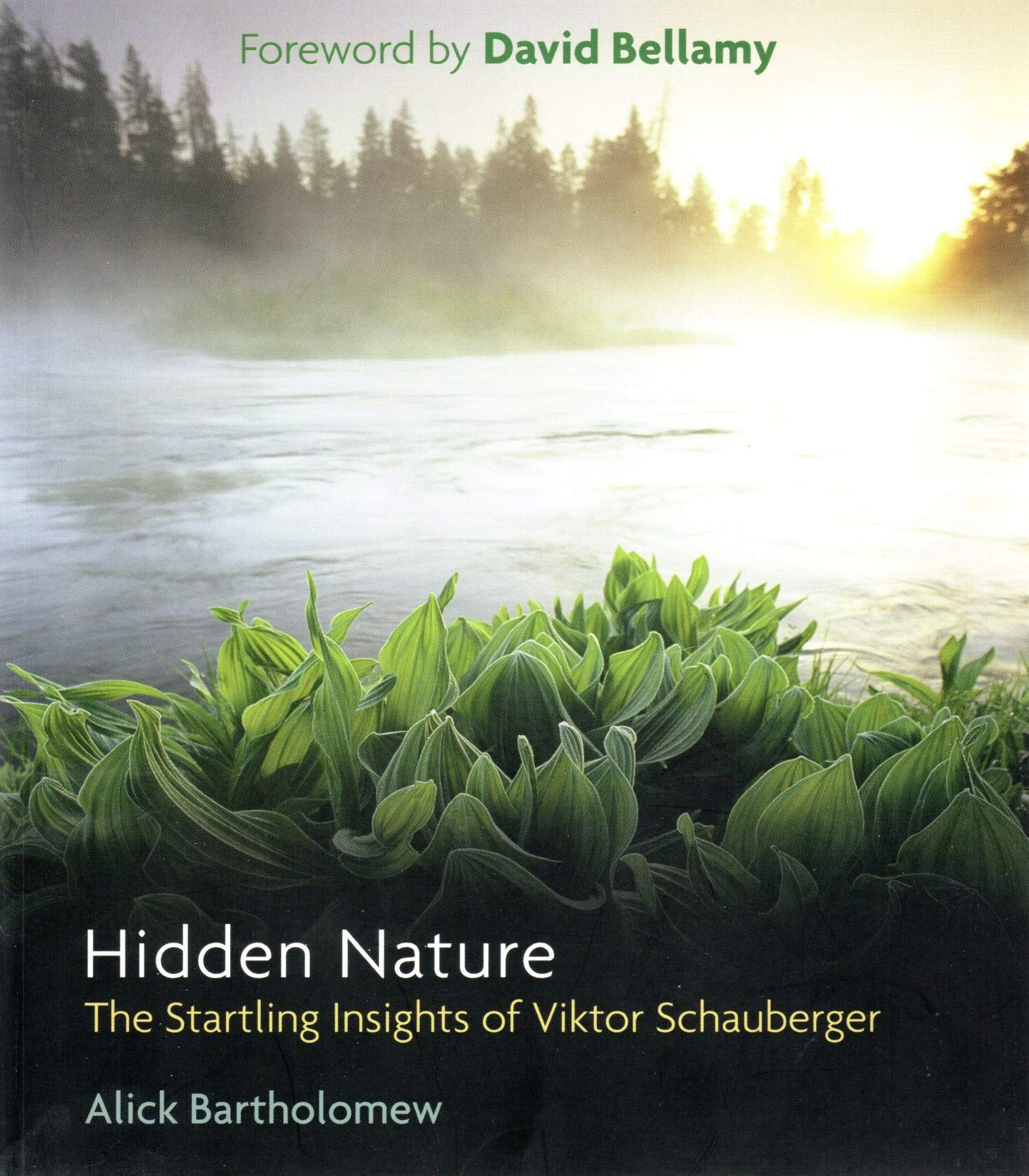 HIDDEN NATURE,Used