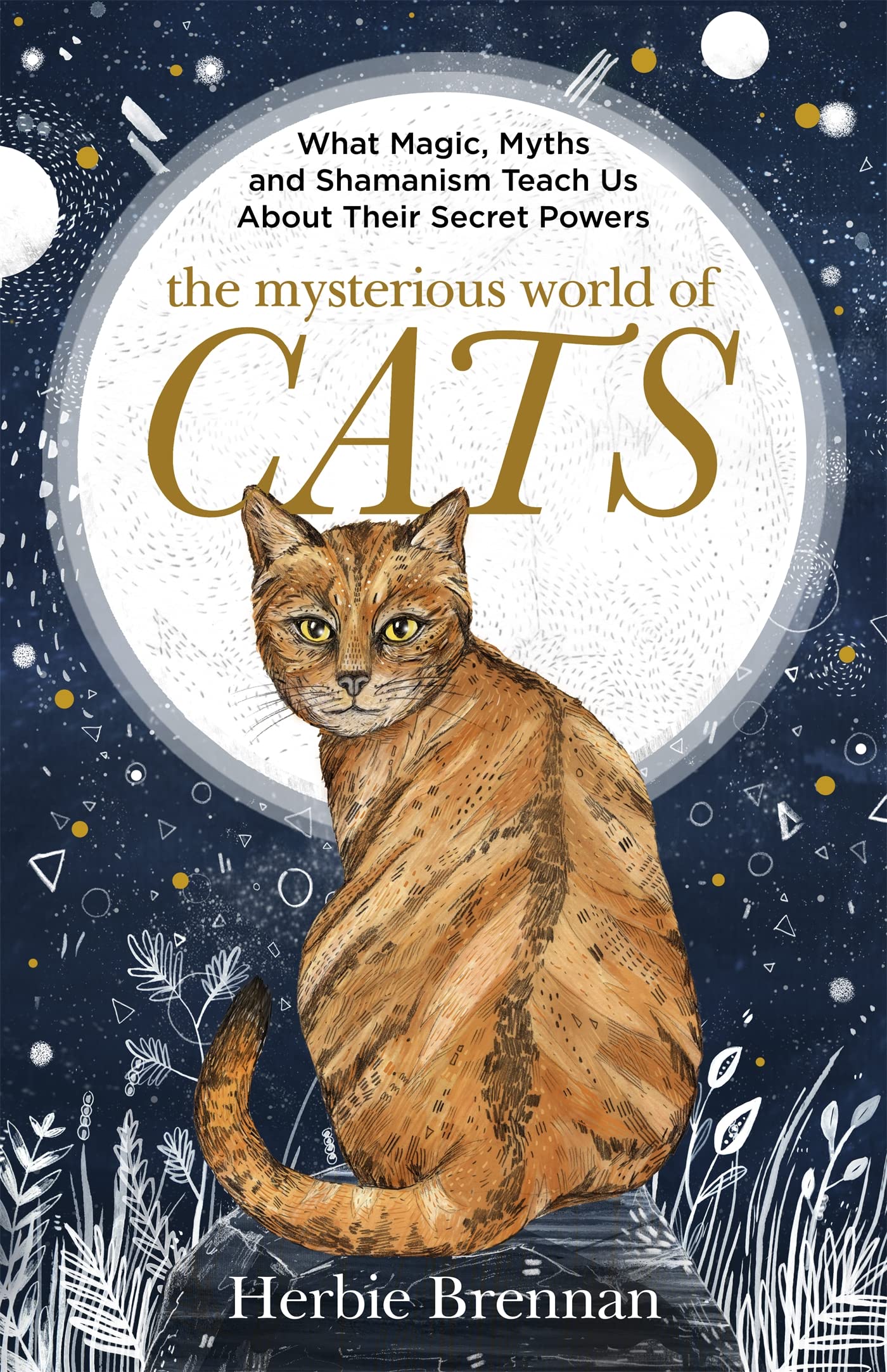 The Mysterious World Of Cats: The Ultimate Gift Book For People Who Are Bonkers About Their Cat