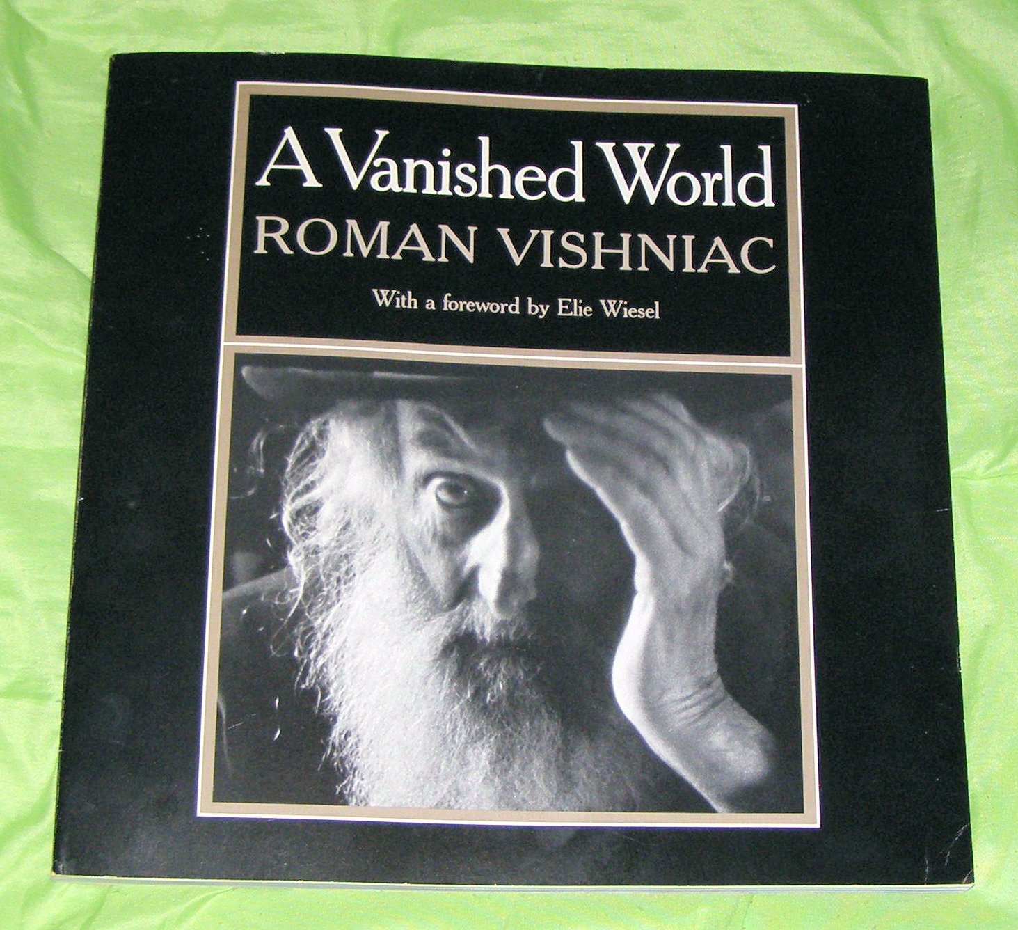 A Vanished World,New