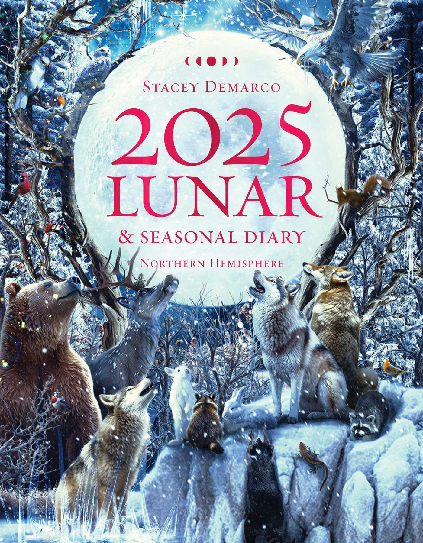 2025 Lunar and Seasonal Diary Northern Hemisphere: Seasonal planner for 2025 (Planners),New