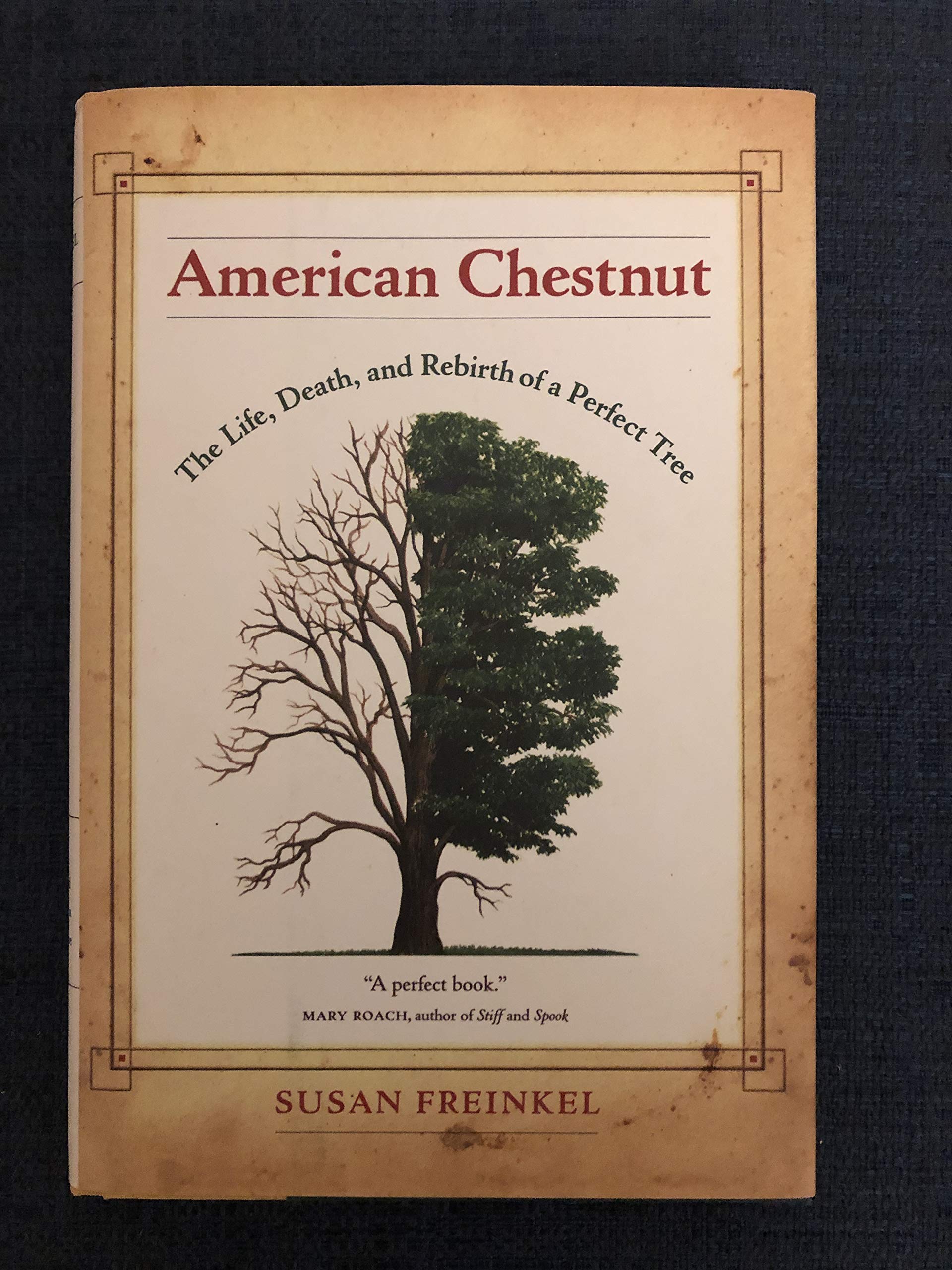 American Chestnut: The Life, Death, and Rebirth of a Perfect Tree,New