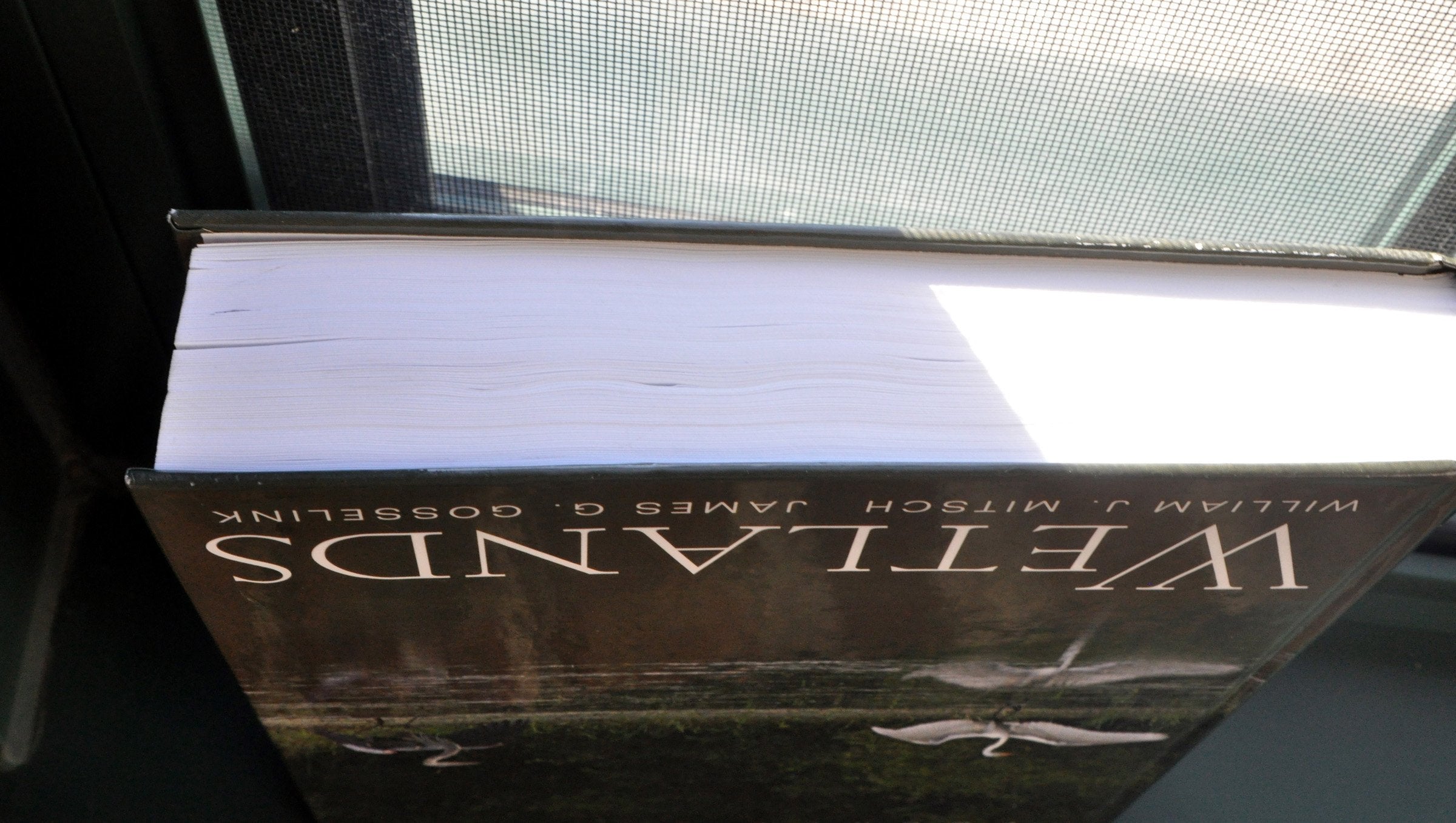 Polish Literature and the Holocaust: Eyewitness Testimonies, 19421947,Used