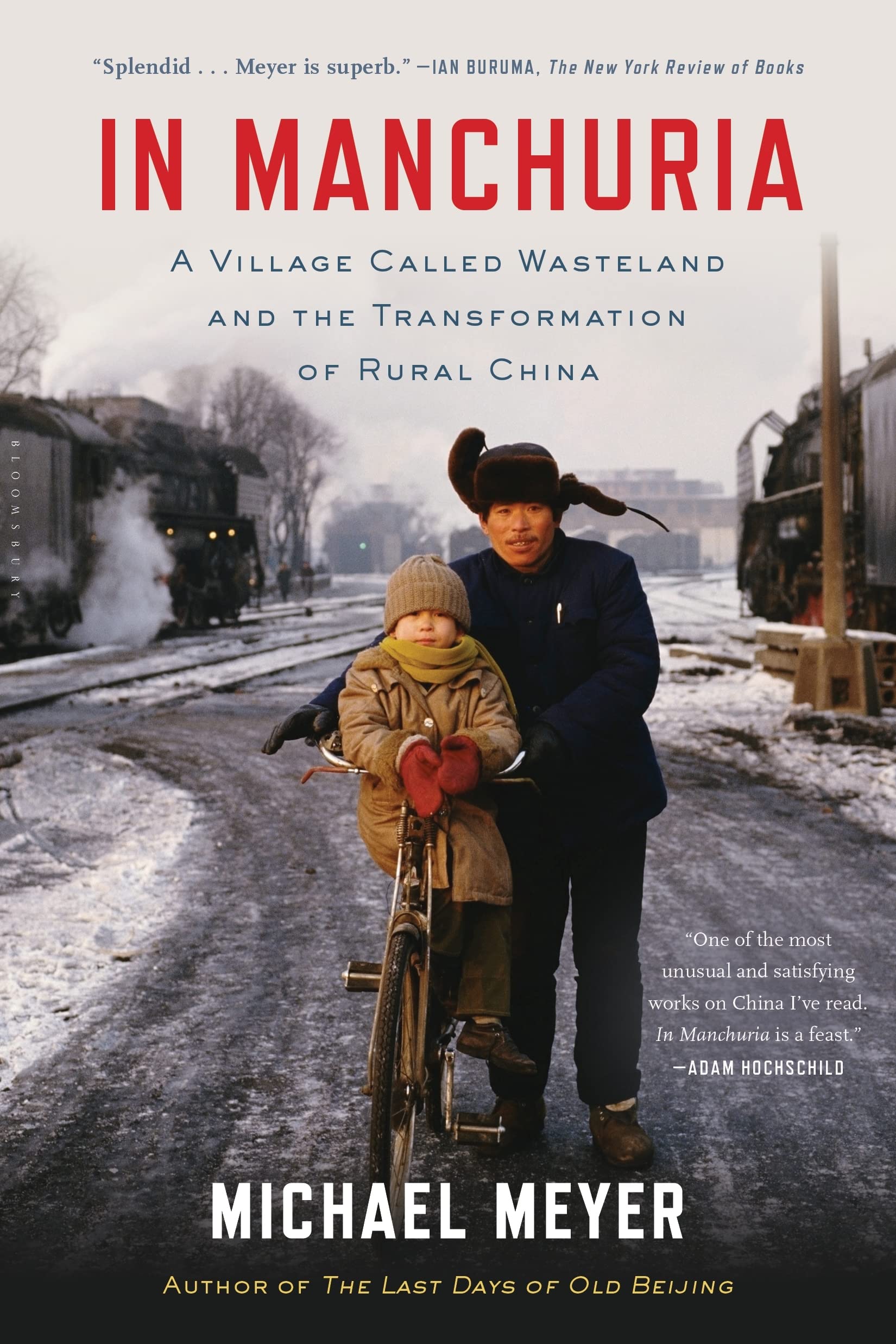 In Manchuria: A Village Called Wasteland and the Transformation of Rural China,New